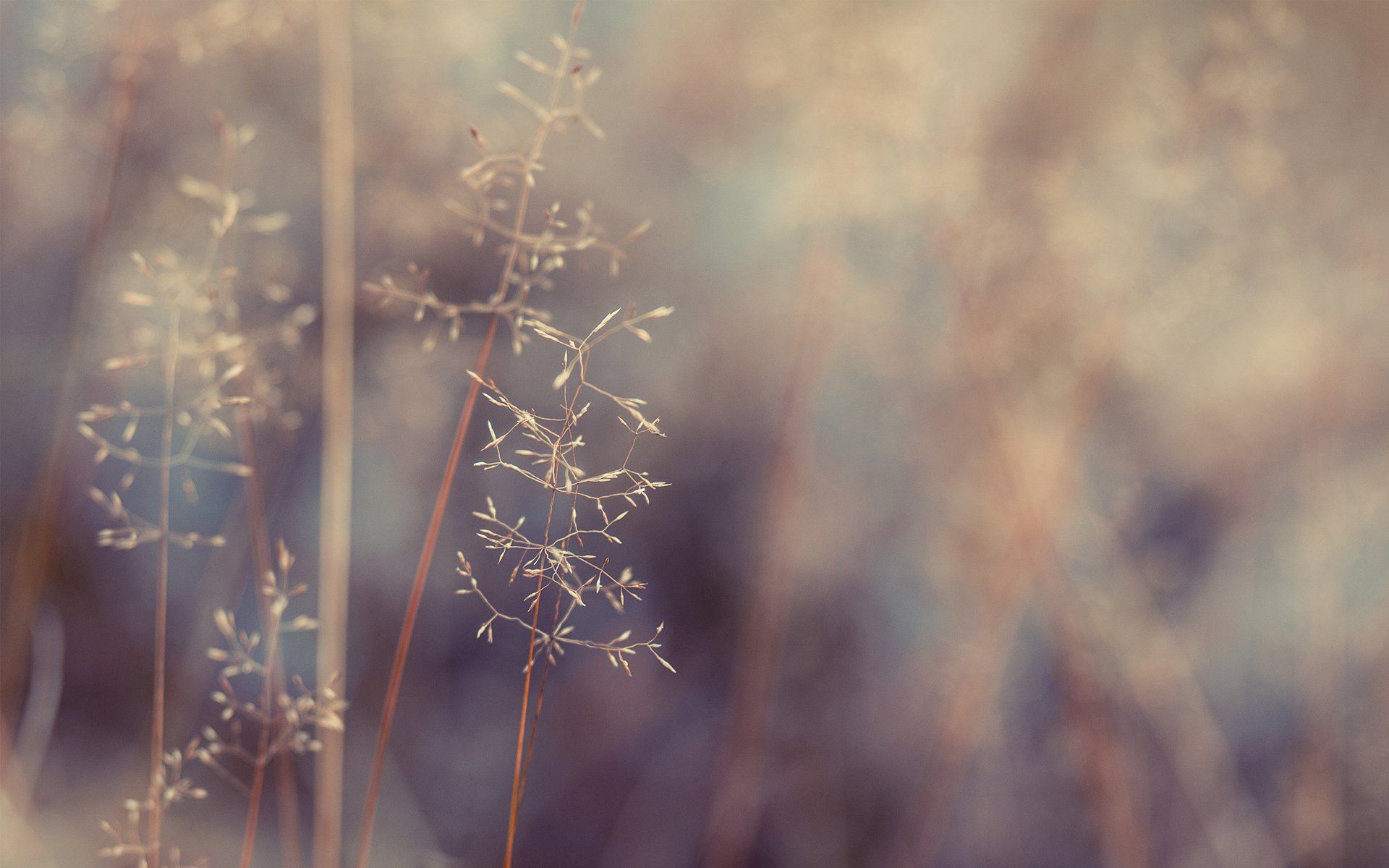 Best Wallpaper Hipster - HD Wallpaper 