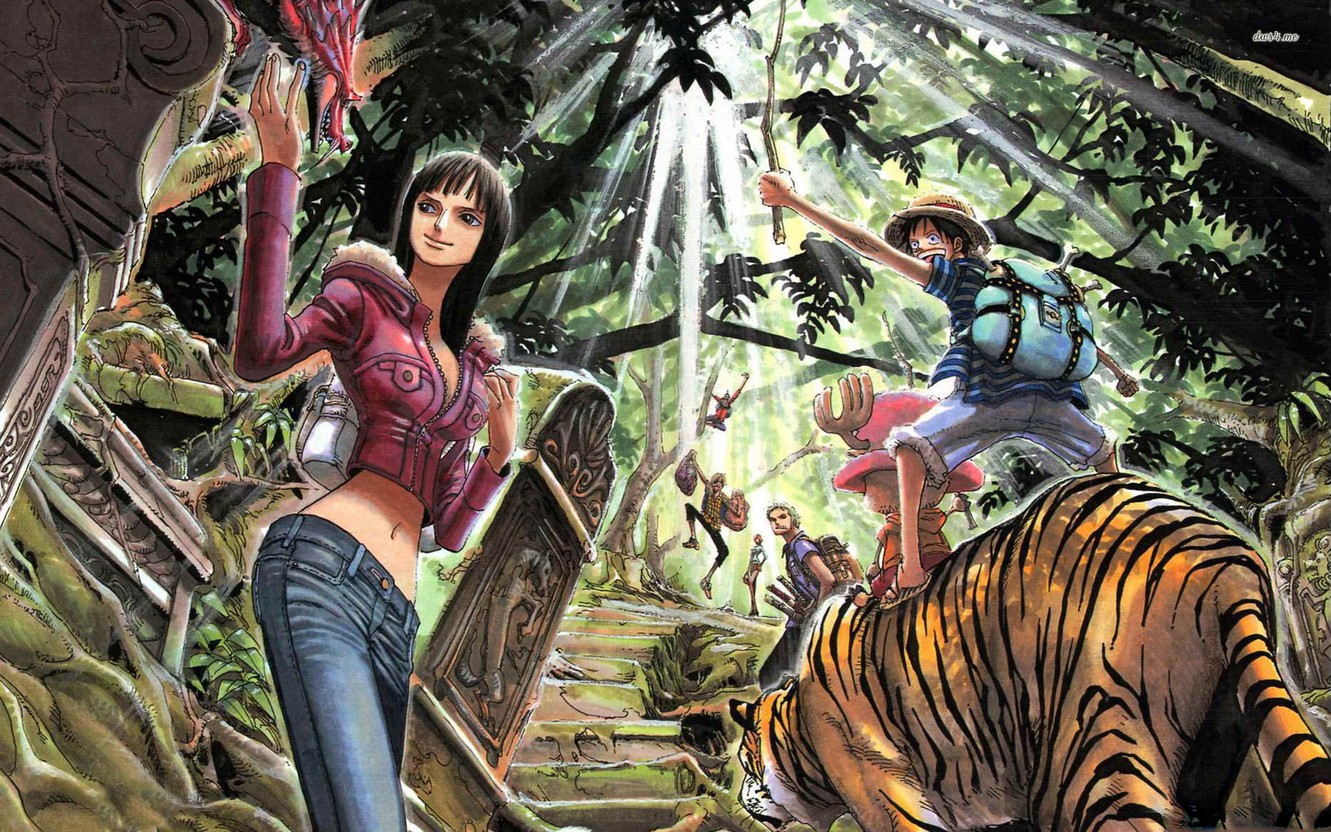 Cool One Piece Wallpapers Hd 1920x1200 Wallpaper Teahub Io