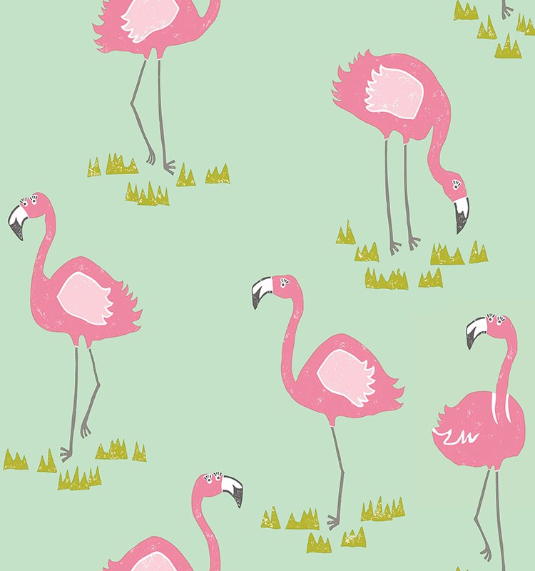 Burung Flamingo - HD Wallpaper 