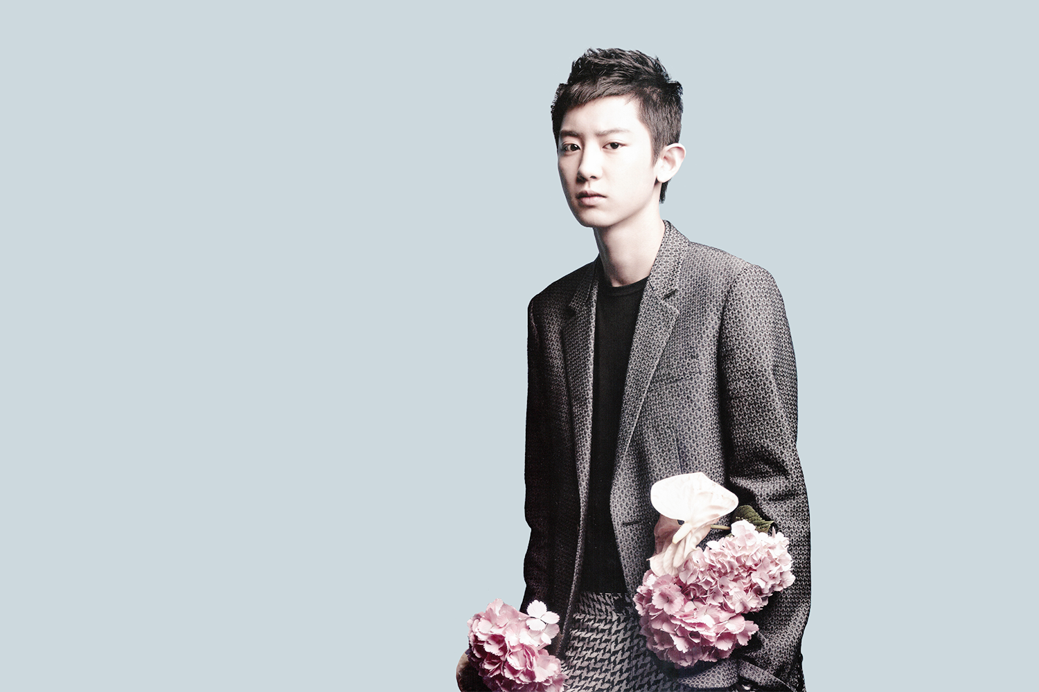 Park Chanyeol Bunga - HD Wallpaper 