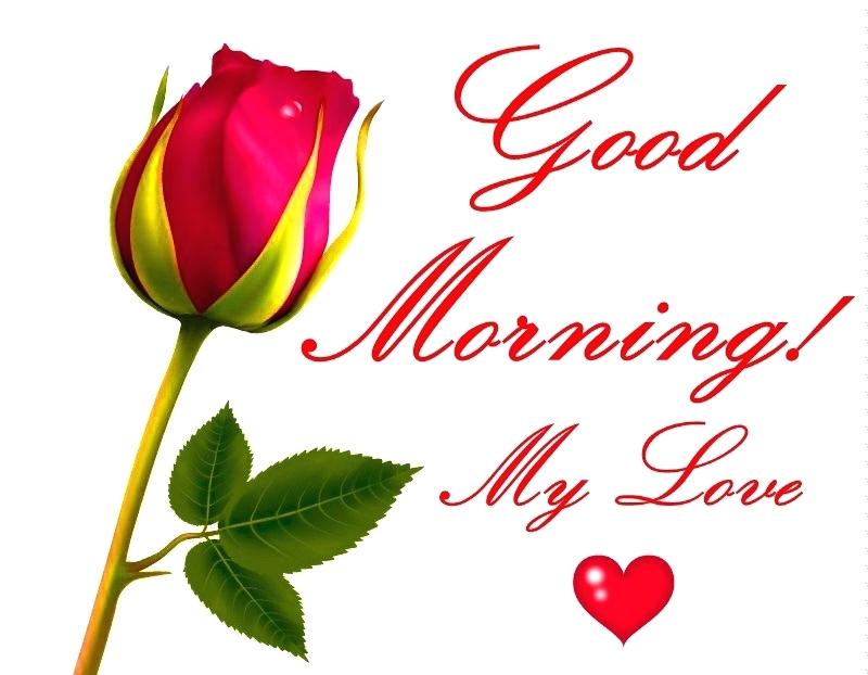 Love Red Roses Pics Good Morning Flowers Quotes Wishes - Good Morning Love Photo Download Hd - HD Wallpaper 