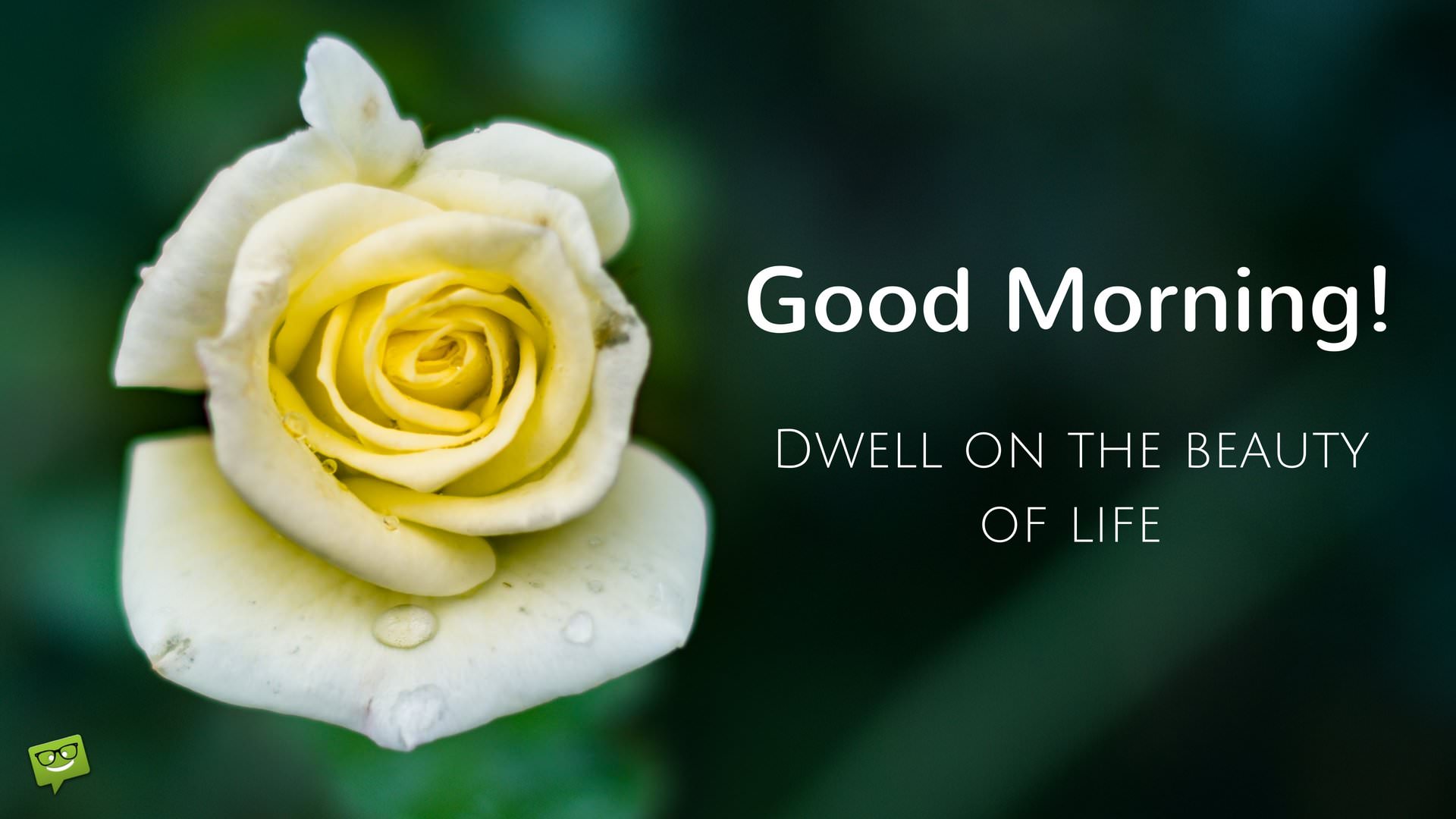 Good Morning Dwell On The Beauty Of Life - Positivity Good Morning Images With Quotes - HD Wallpaper 