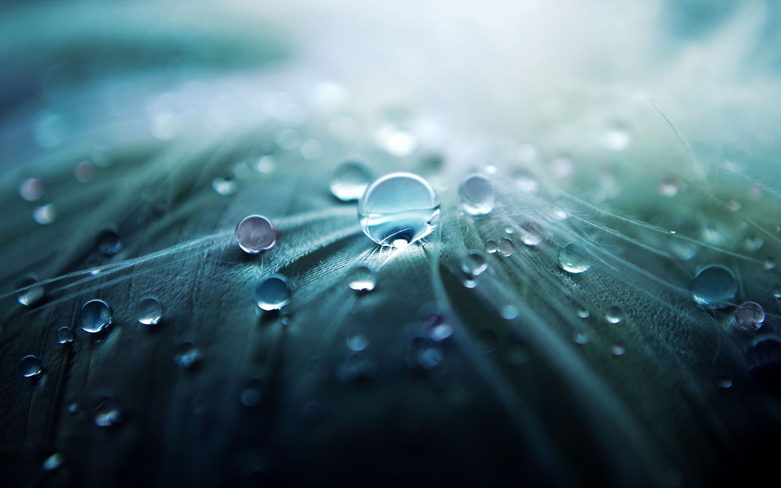 Feather And Bubble Wallpapers Hd - Free Android Wallpaper Hd - HD Wallpaper 