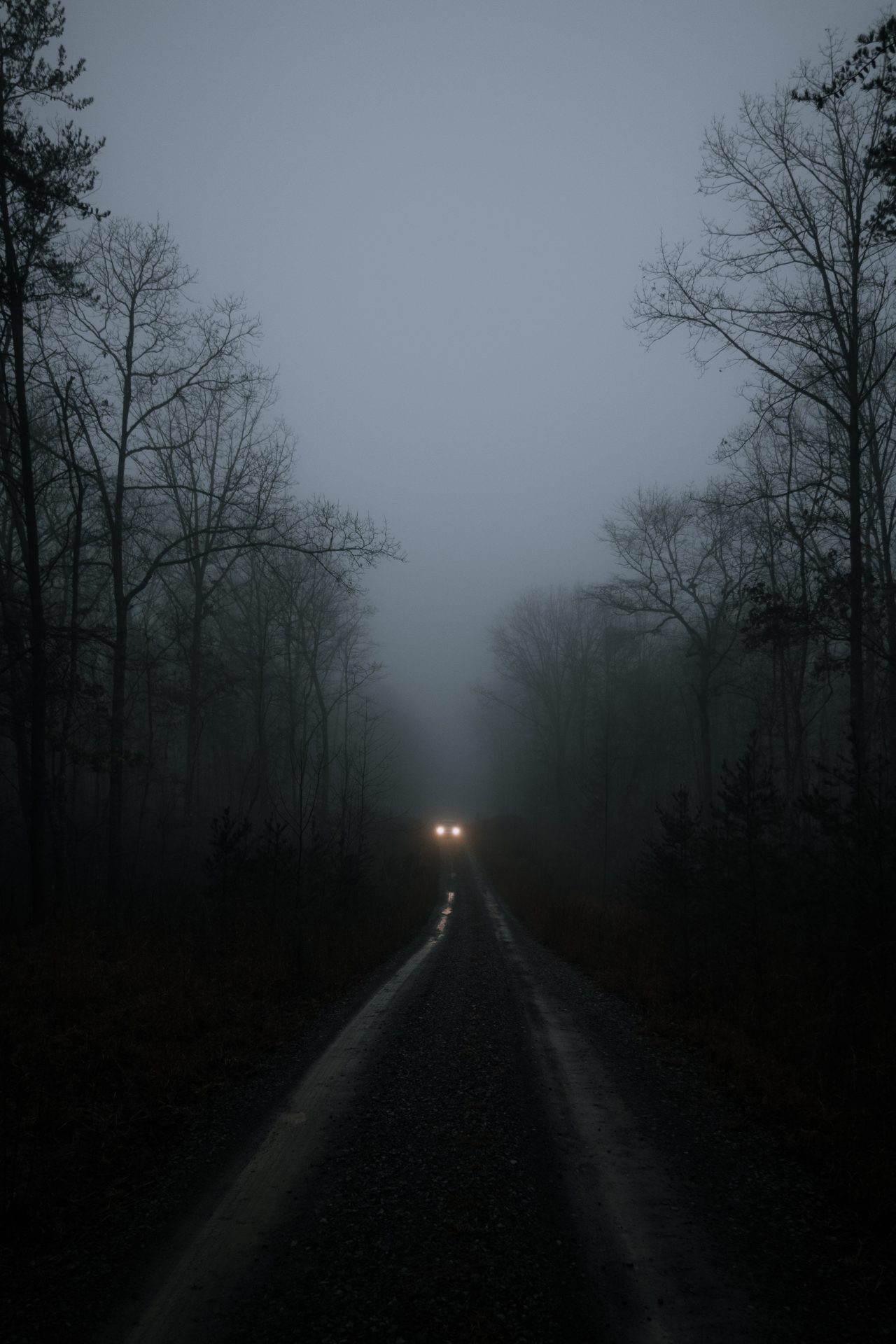 Dark Forest Wallpapers For Android 1280p width 240 - 1280x1920 Wallpaper - Dark Forest Wallpapers For Android 1280p width 240 - 1280x1920 Wallpaper -
