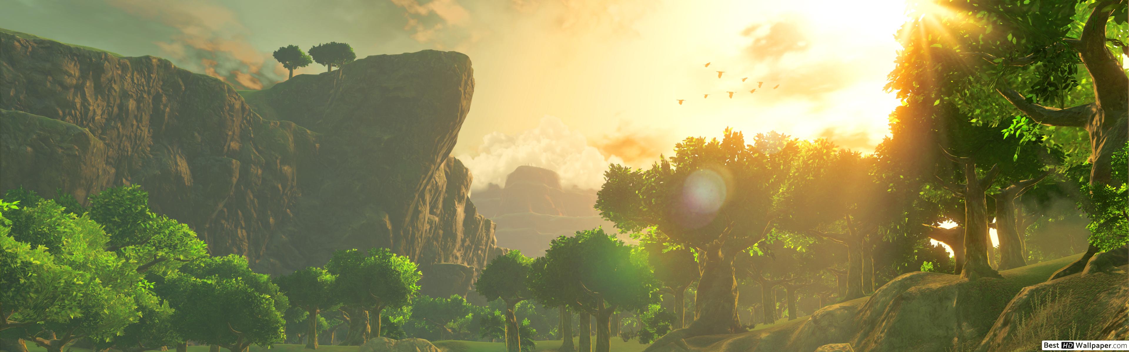 Legend Of Zelda Breath Of The Wild Forest - HD Wallpaper 