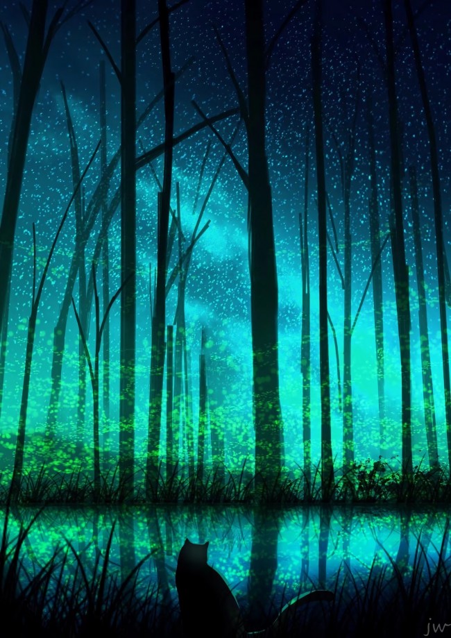 Dark Forest, Lake, Cat, Stars, Trees, Artwork - Dark Blue Forest Lake - HD Wallpaper 
