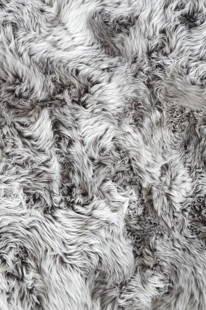 Grey And Wallpaper Image - Black Fluffy