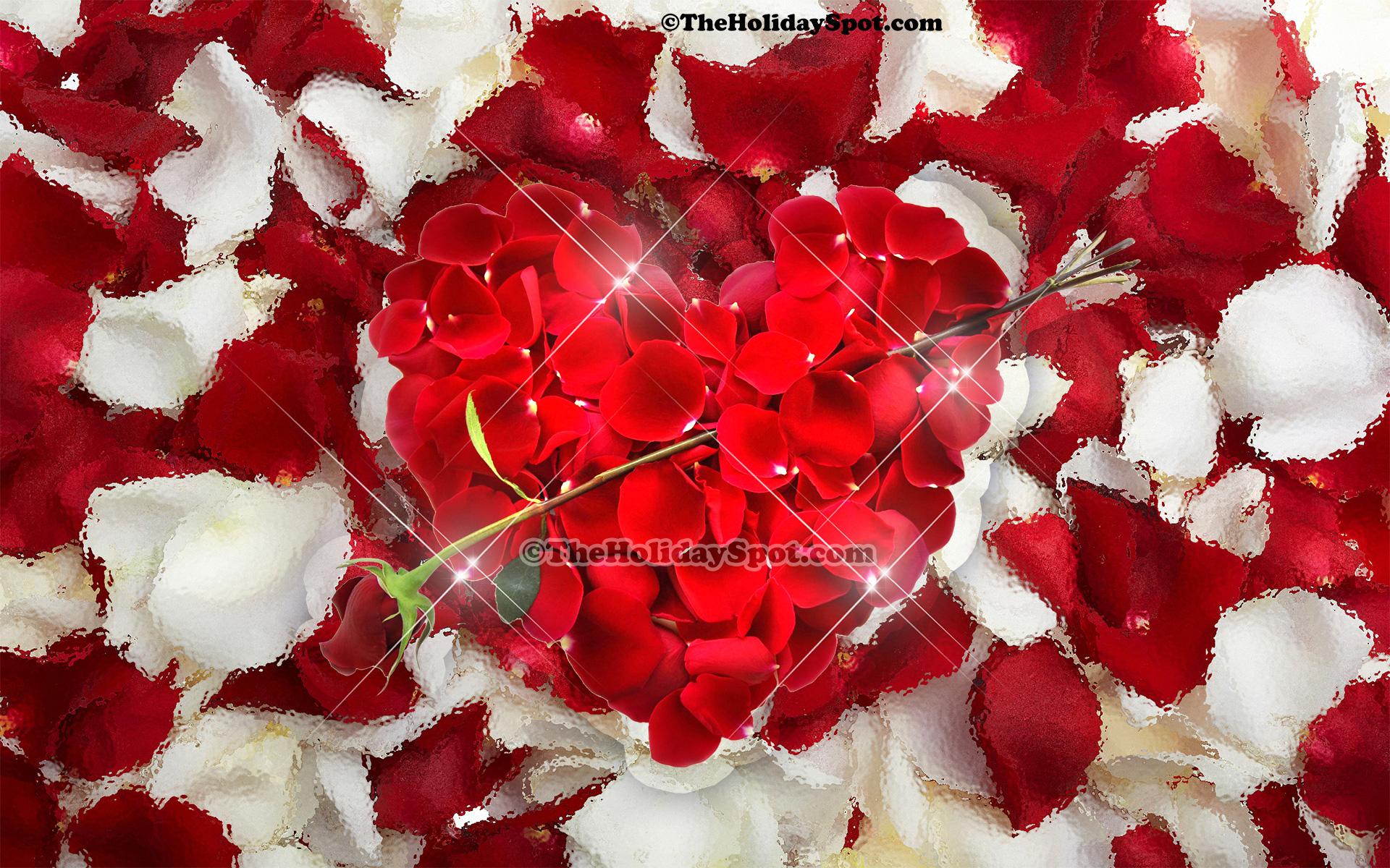 Background Rose Flower - 1920x1200 Wallpaper Background Rose Flower - 1920x1200 Wallpaper