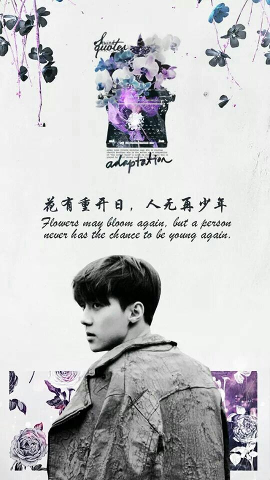 Wallpaper For Wattpad - Sehun Hình Nền - HD Wallpaper 