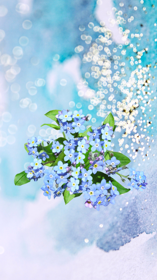 Image - Forget Me Not Flower Cute - HD Wallpaper 