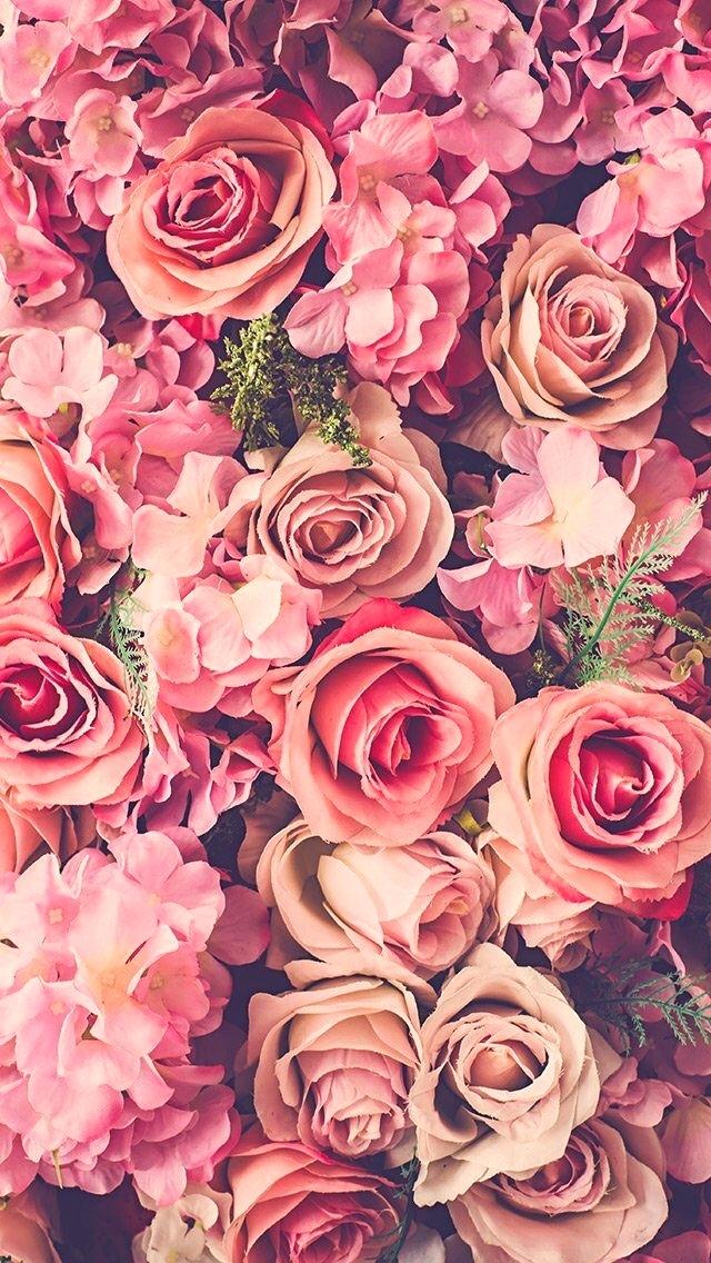 Flowers Iphone Wallpaper Roses Wallpaper Flower Wallpaper - Iphone Floral Wallpaper Hd - HD Wallpaper 