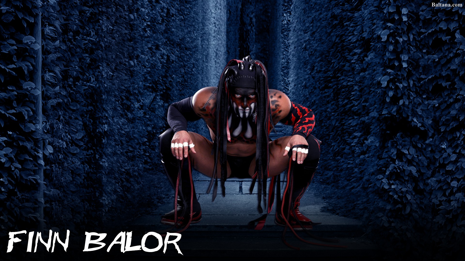 Finn Balor Wallpaper - Wallpaper - HD Wallpaper 