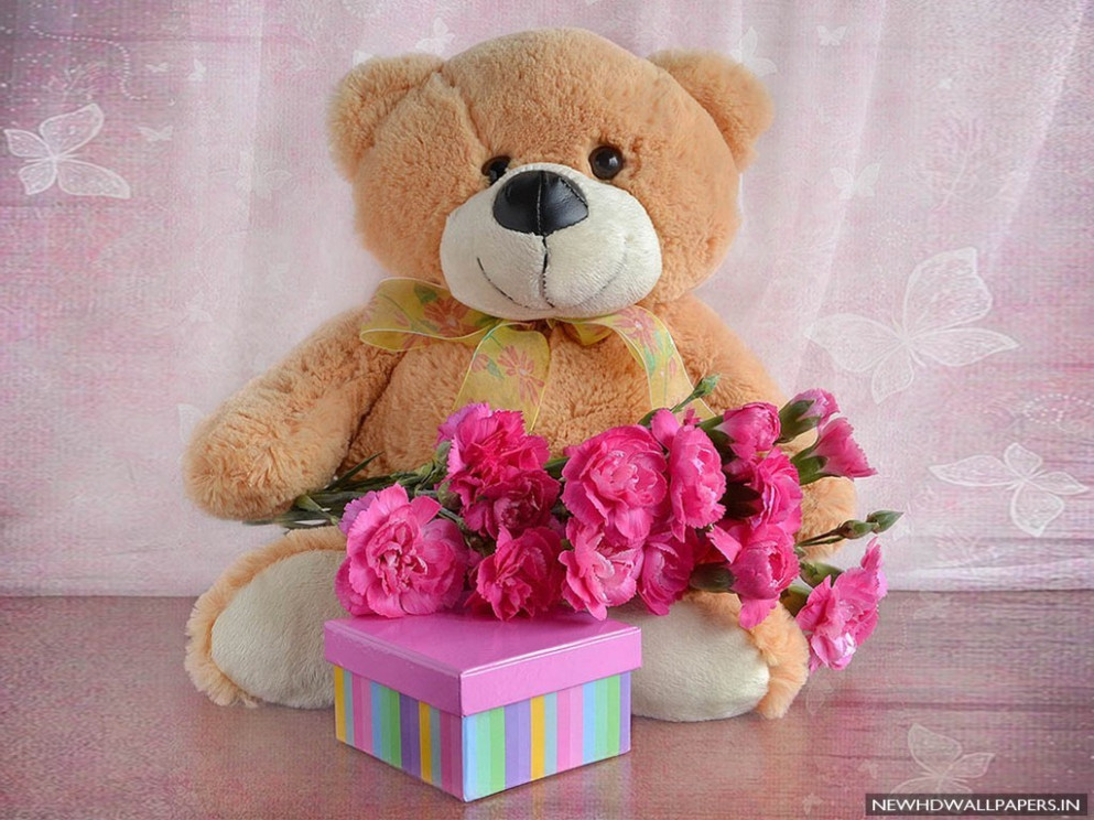 Live Wallpaper For Whatsapp Profile , Pictures - Cute Teddy Day Status - HD Wallpaper 