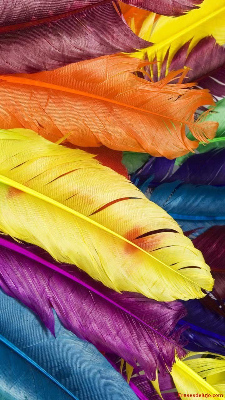 Tapety Na Mobil Samsung Galaxy Ace - HD Wallpaper 