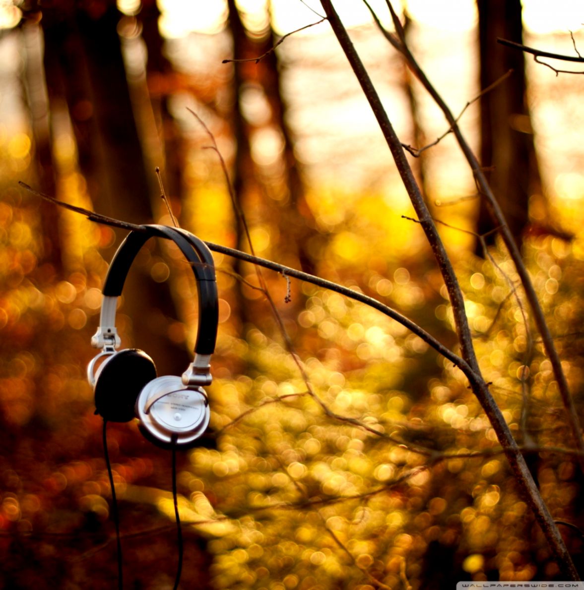 Sony Headphones ❤ 4k Hd Desktop Wallpaper For 4k Ultra - Head Phone Witha Nature - HD Wallpaper 