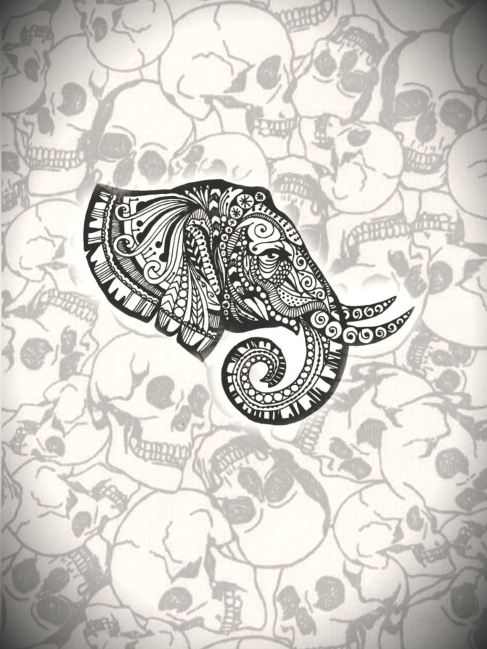 Calaveras, Elefante, And Elephant Image - Fondos De Calaveras Png - HD Wallpaper 
