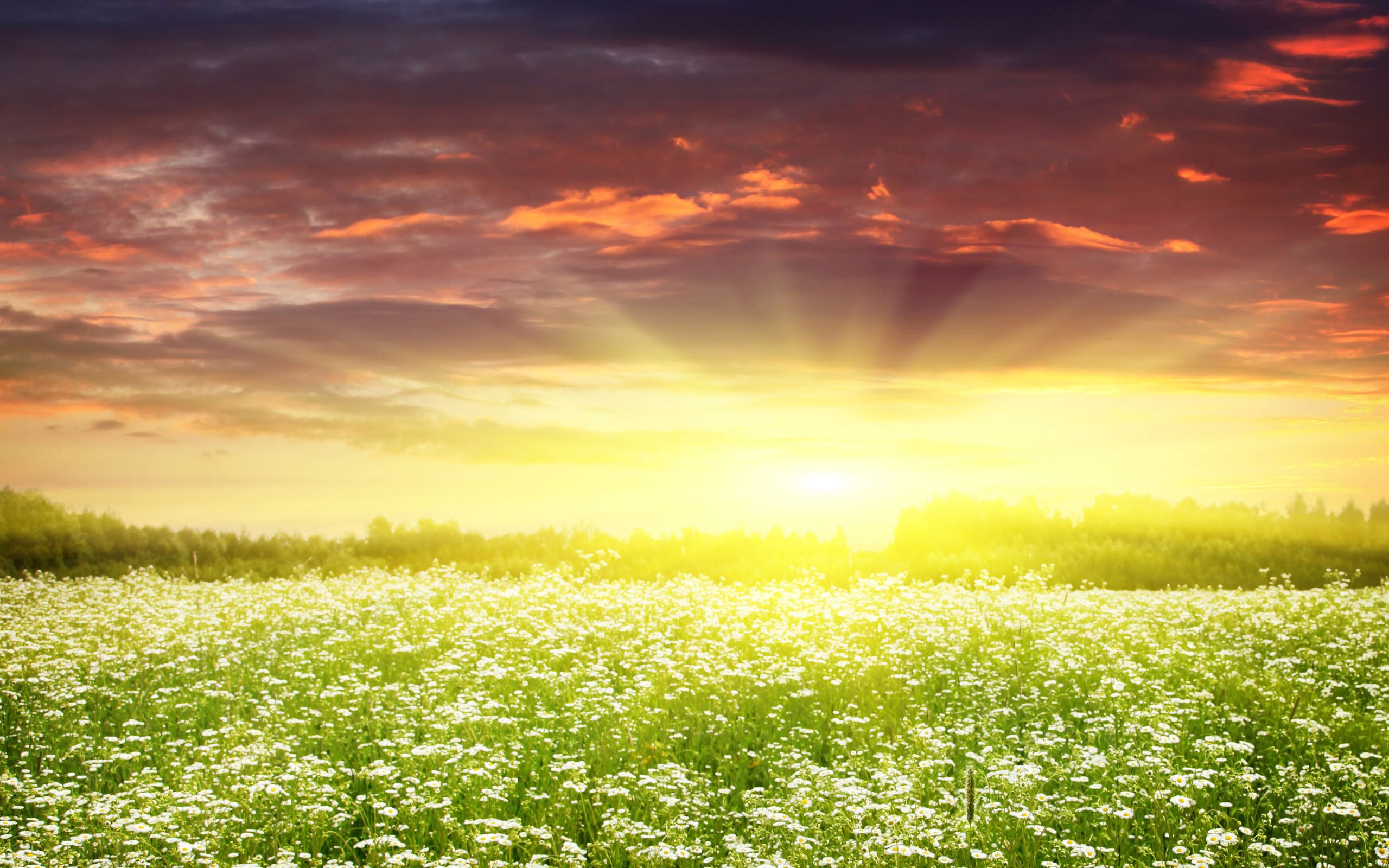 We Must Let Go Of The Life We Planned To Accept The - HD Wallpaper 