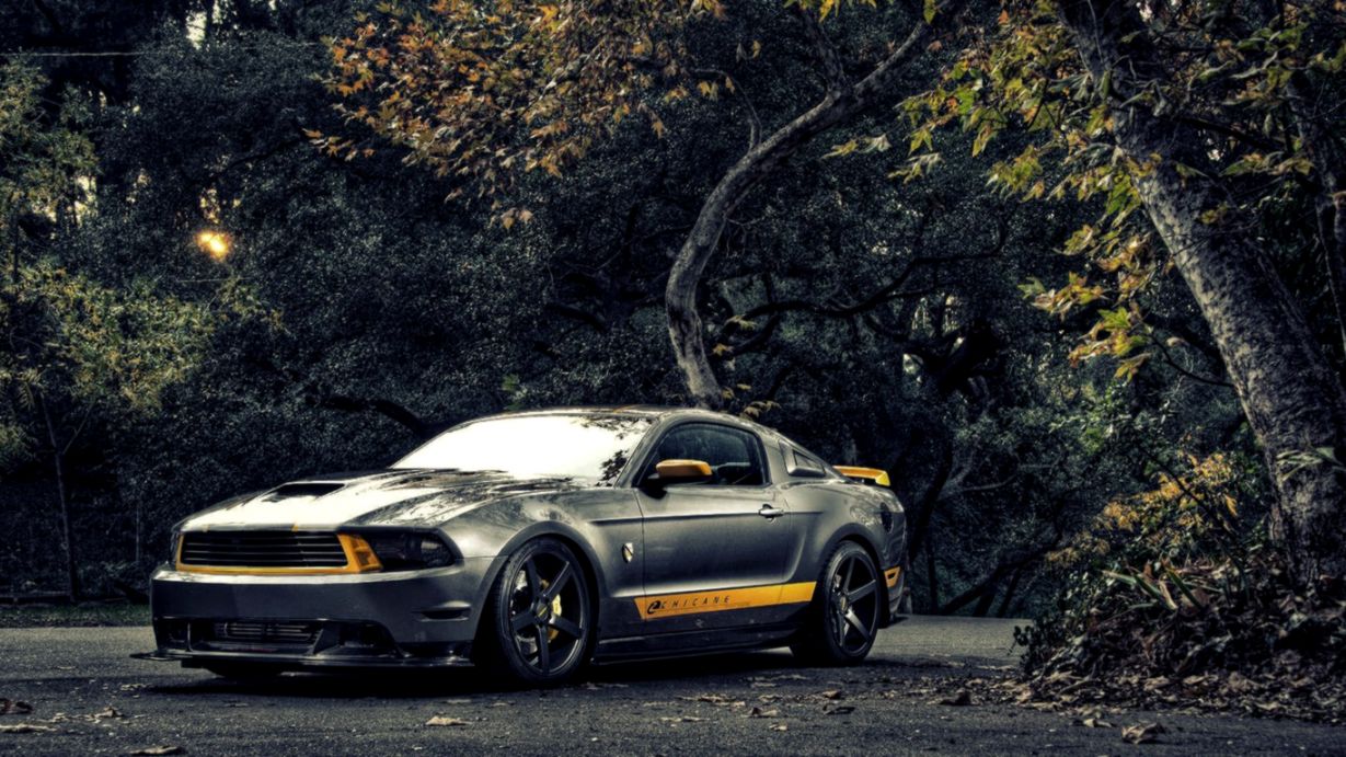 Ford Mustang Hd Wallpaper Cars Wallpaper Better - Ford Mustang Gt Hd Wallpapers 1080p - HD Wallpaper 