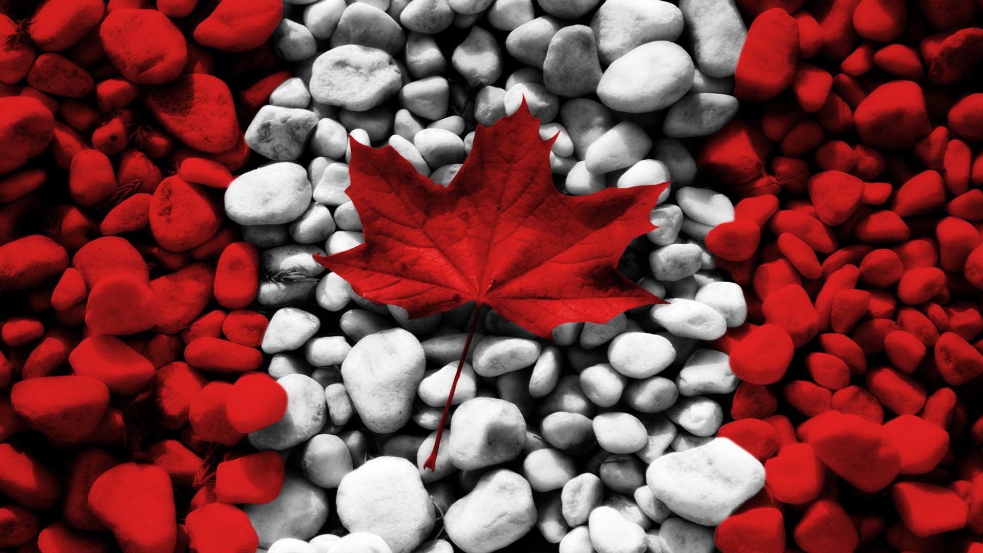 Canada Flag Image Full Hd - Hd Wallpaper Canada Flag 1920x1080 Wallpaper Teahub Io