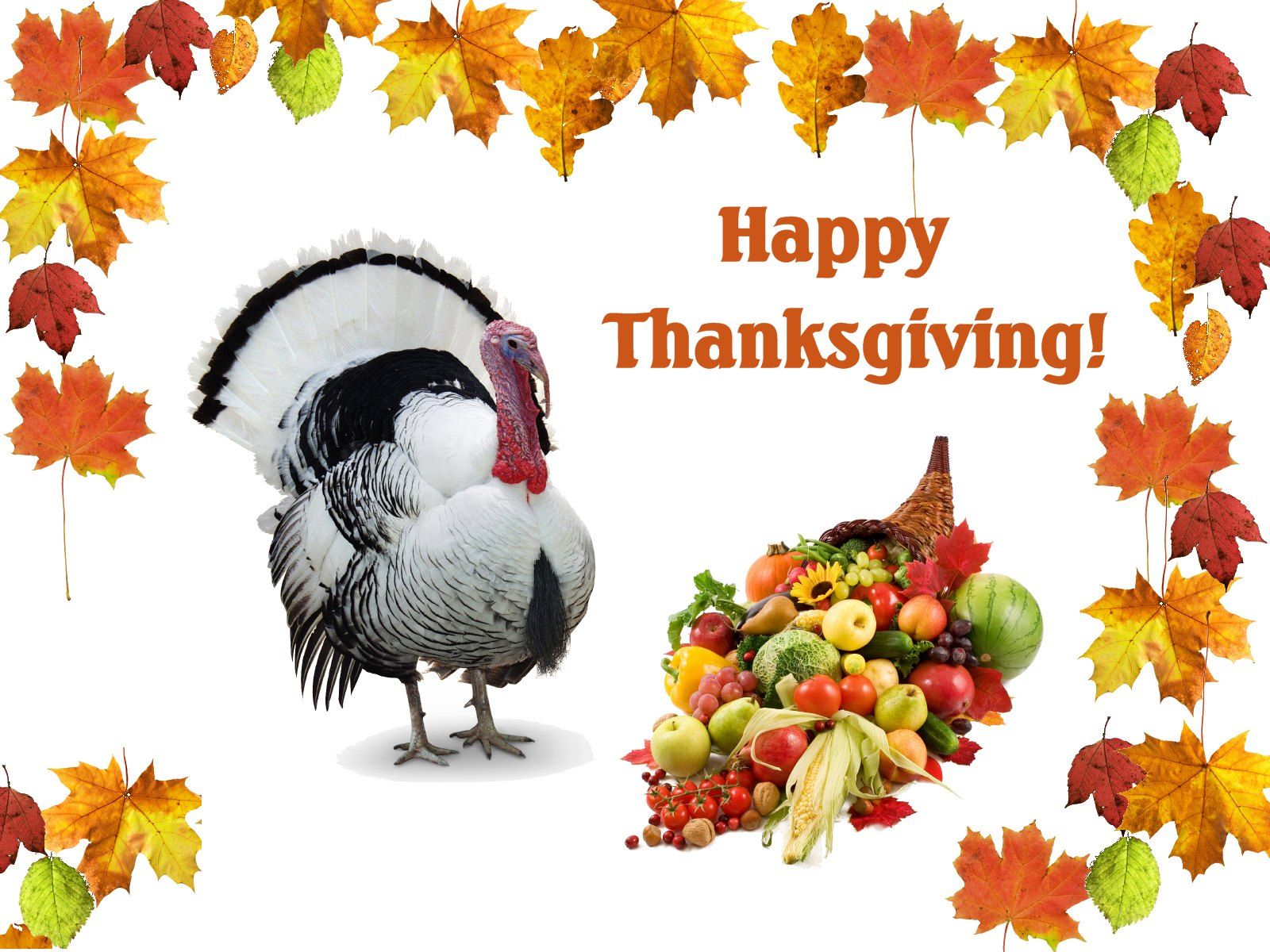 3d Live Wallpapers For Desktop Hd Free Download - Thanksgiving Day - HD Wallpaper 