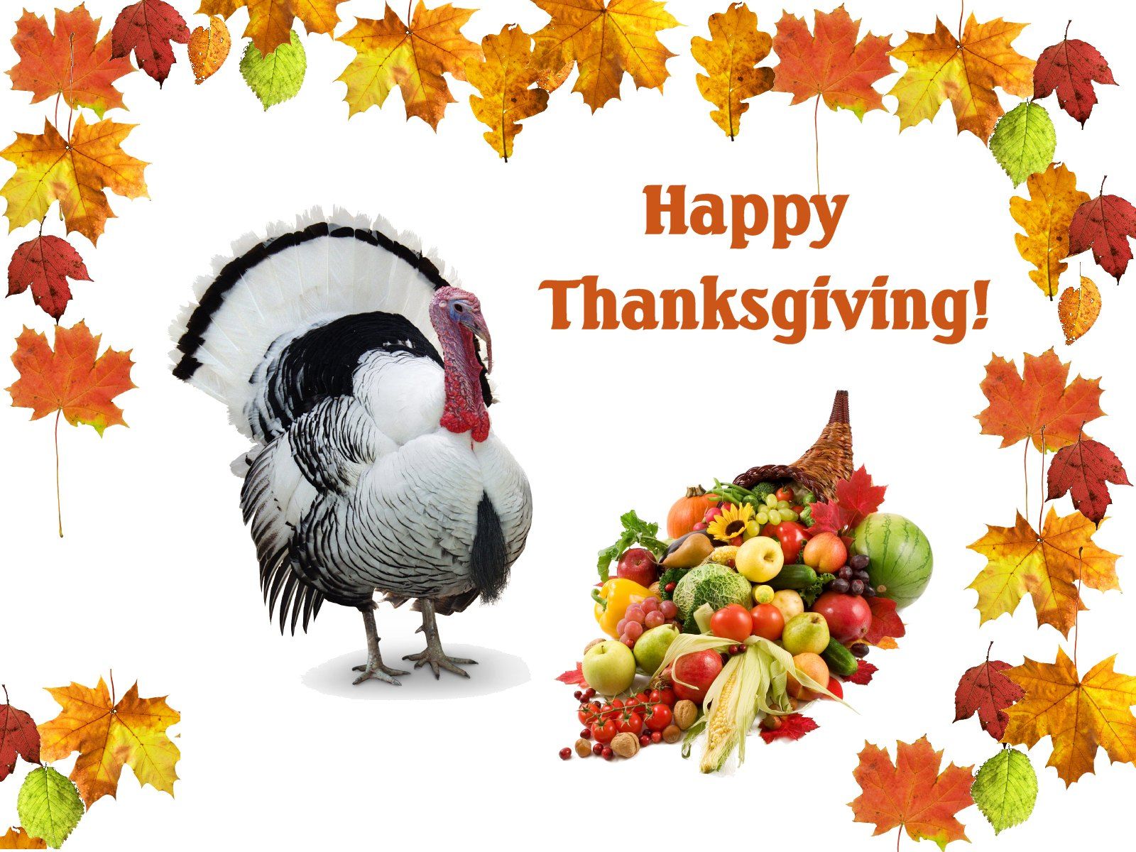 3d Live Wallpapers For Desktop Hd Free Download - Thanksgiving Day - 1600x1200 Wallpaper 3d Live Wallpapers For Desktop Hd Free Download - Thanksgiving Day - 1600x1200 Wallpaper