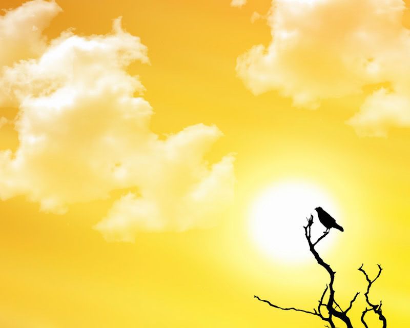 Yellow Background - HD Wallpaper 