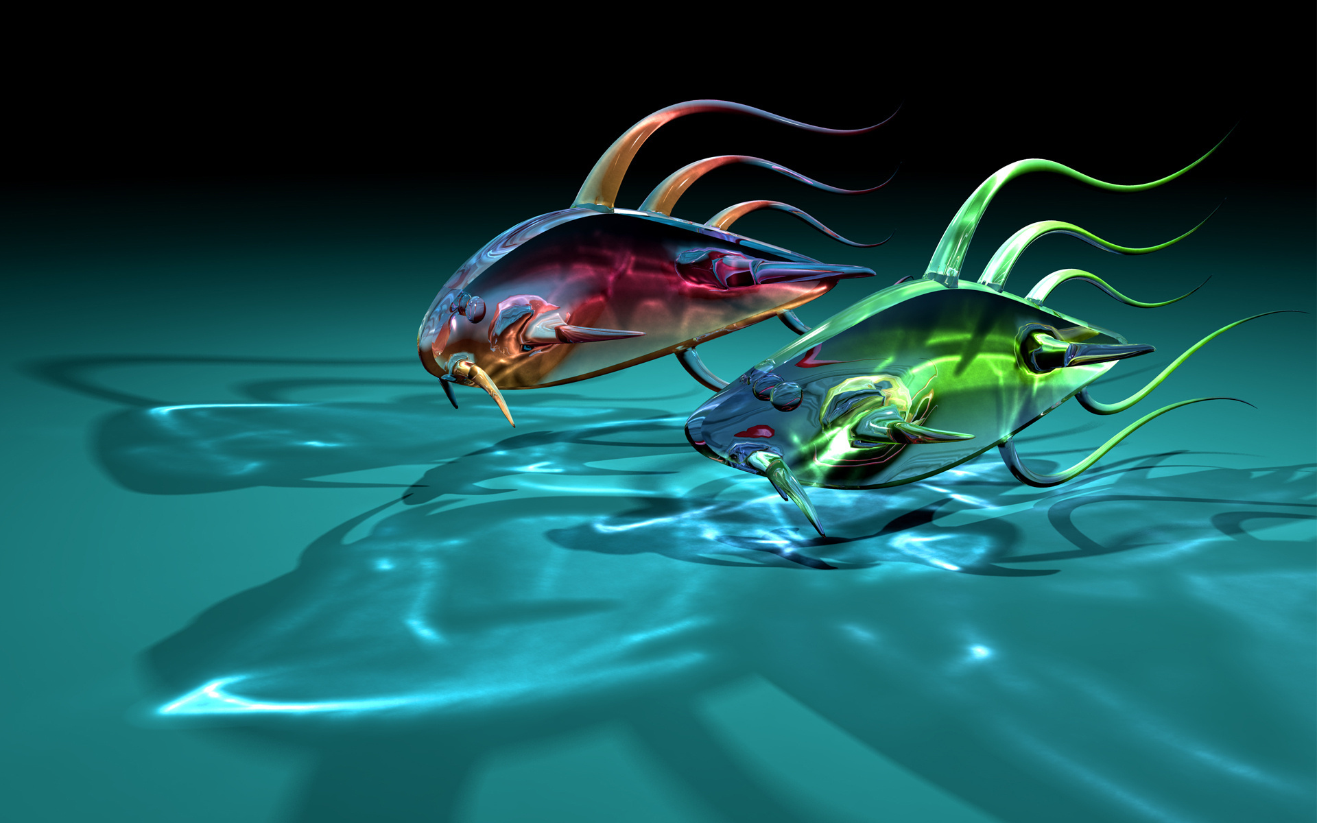 Transparent Fishes - HD Wallpaper 