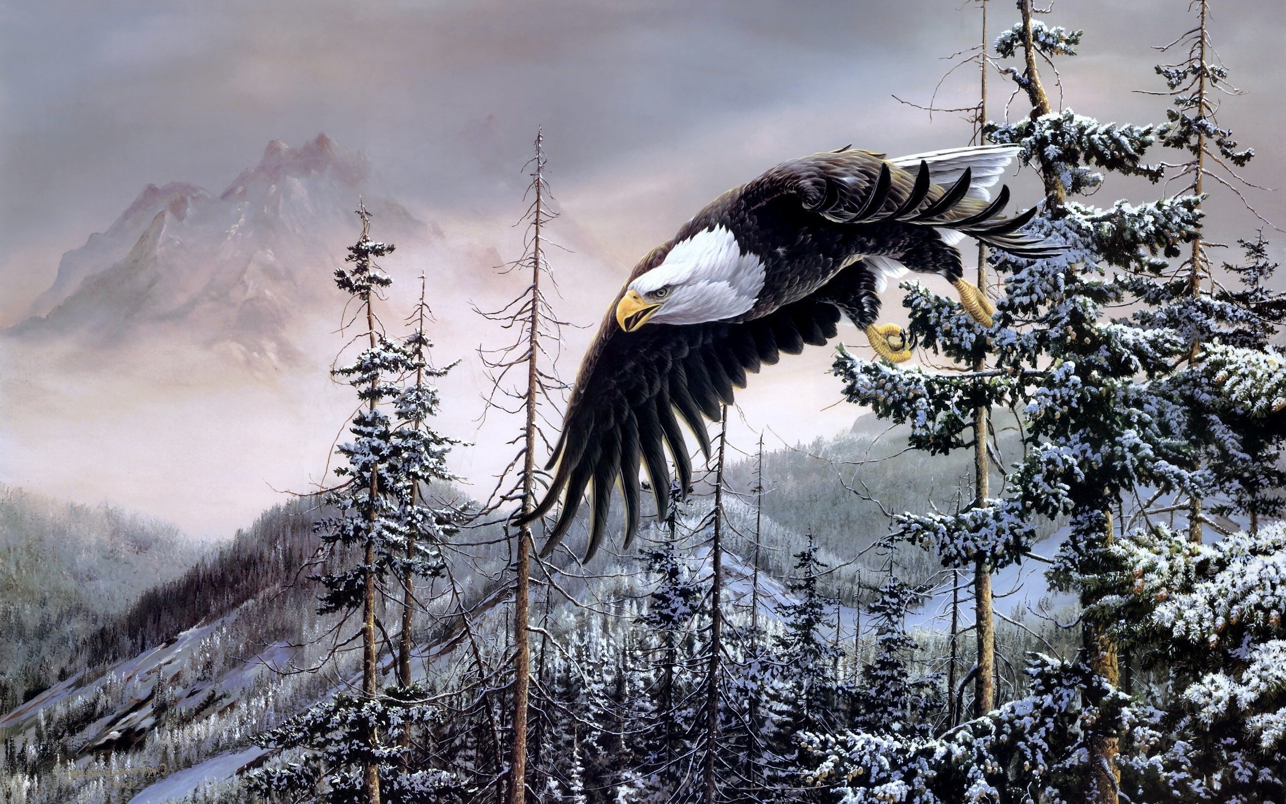 Bald Eagle Hd Wallpaper 
 Data-src /w/full/e/2/0/274277 - Bald Eagle - HD Wallpaper 