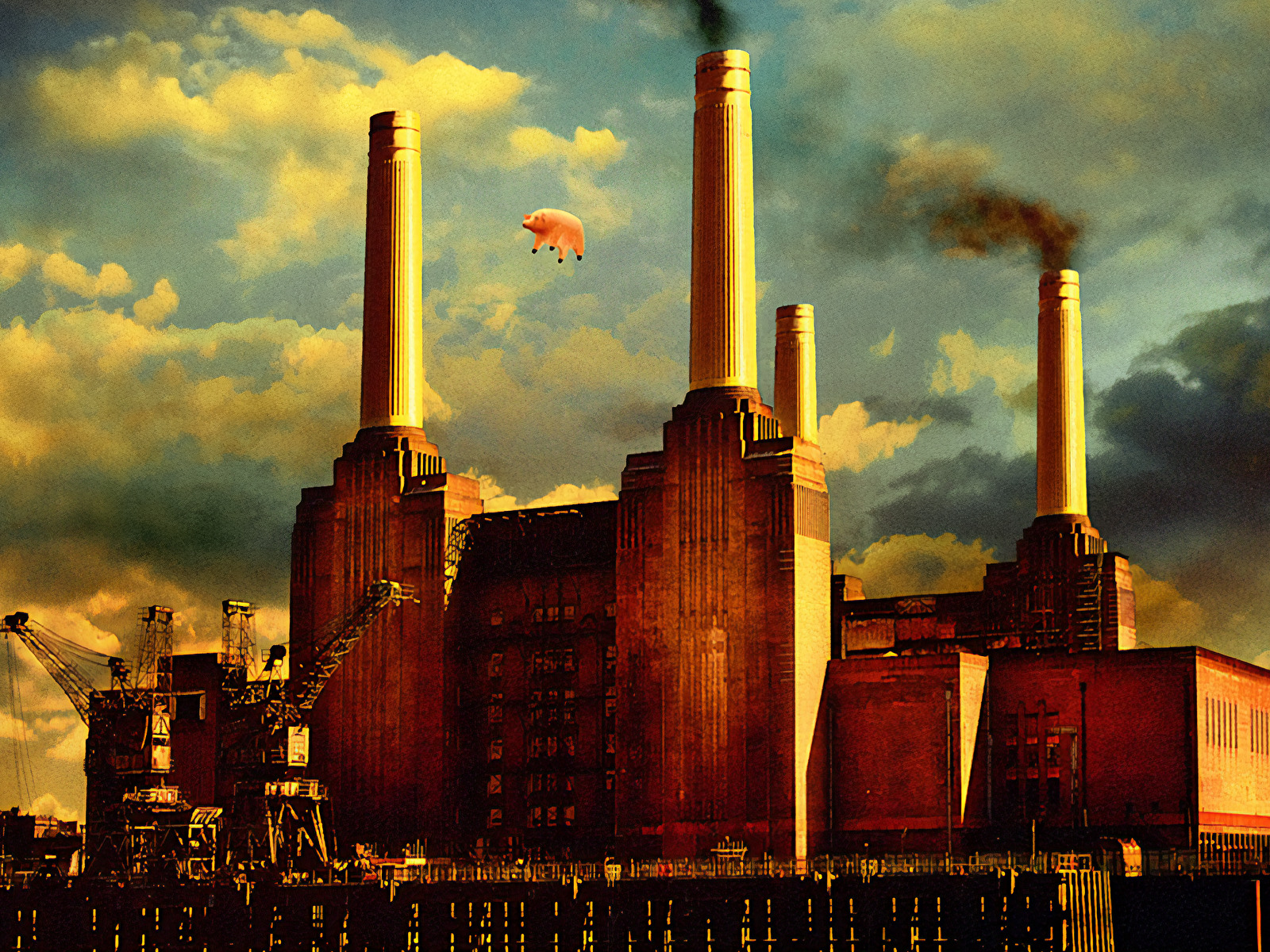Pink Floyd Pig Cover - HD Wallpaper 