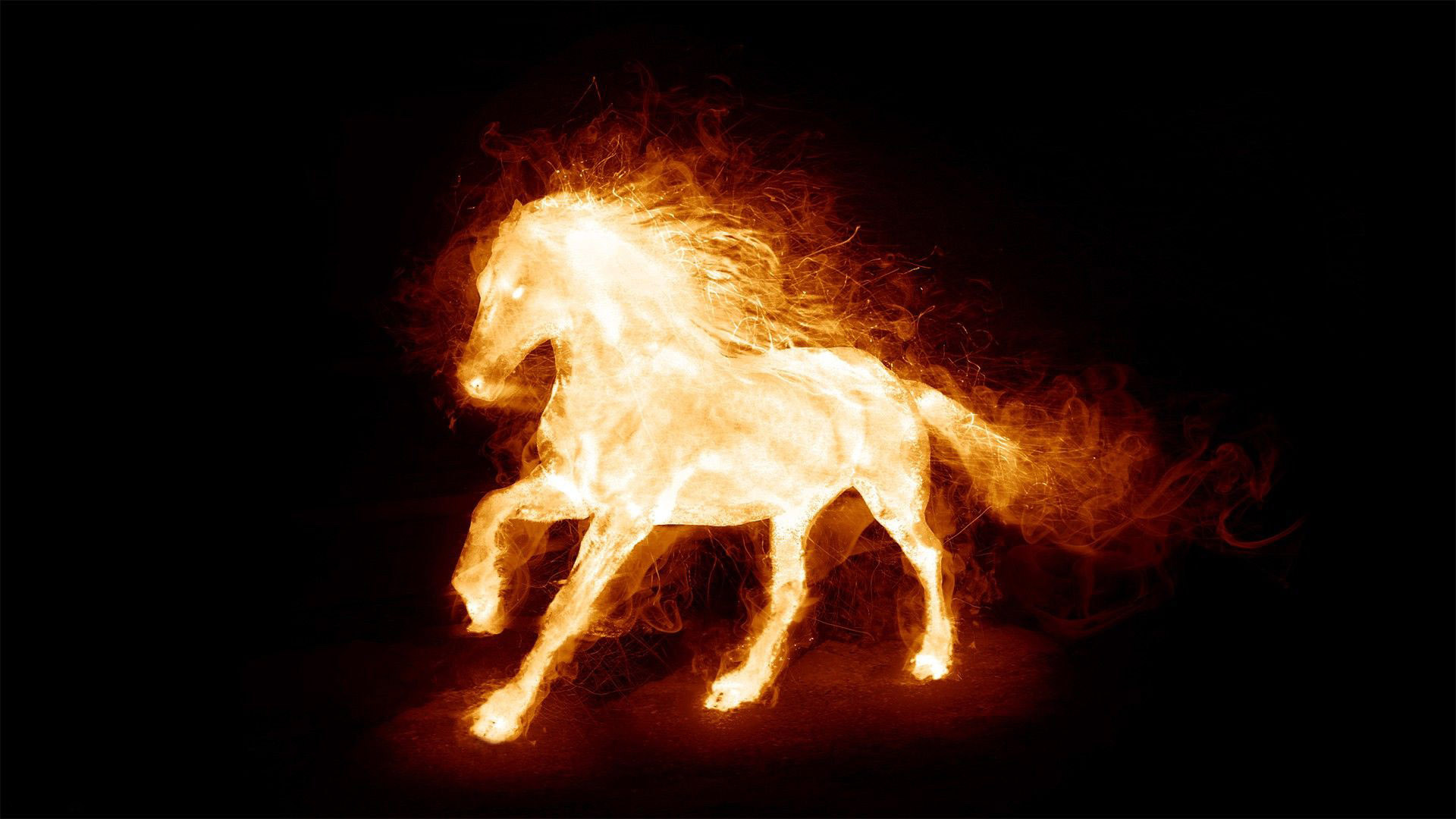 Fire Horse Hd Wide Wallpaper For Widescreen 
 Data-src - Fire Horse Hd - HD Wallpaper 