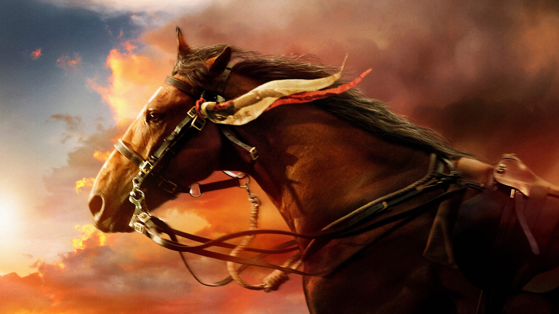 War Horse Wallpaper Hd - Horse 4k Ultra Hd - 1920x1080 Wallpaper War Horse Wallpaper Hd - Horse 4k Ultra Hd - 1920x1080 Wallpaper