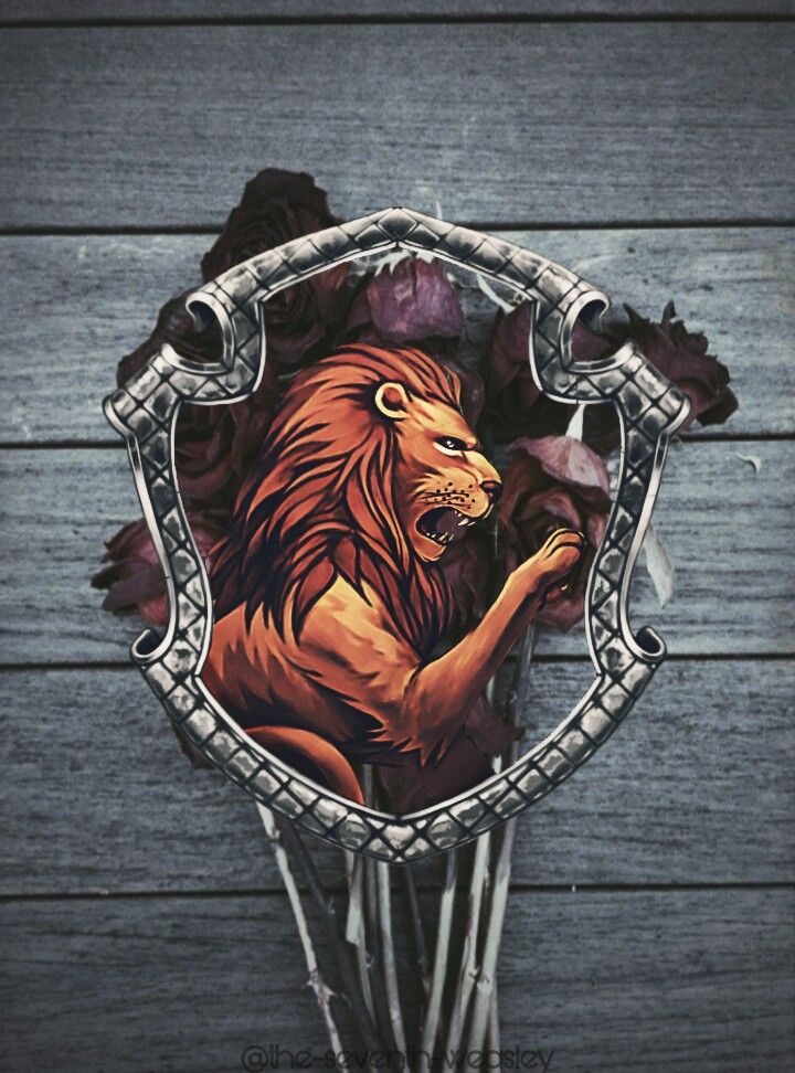 Masai Lion - HD Wallpaper 