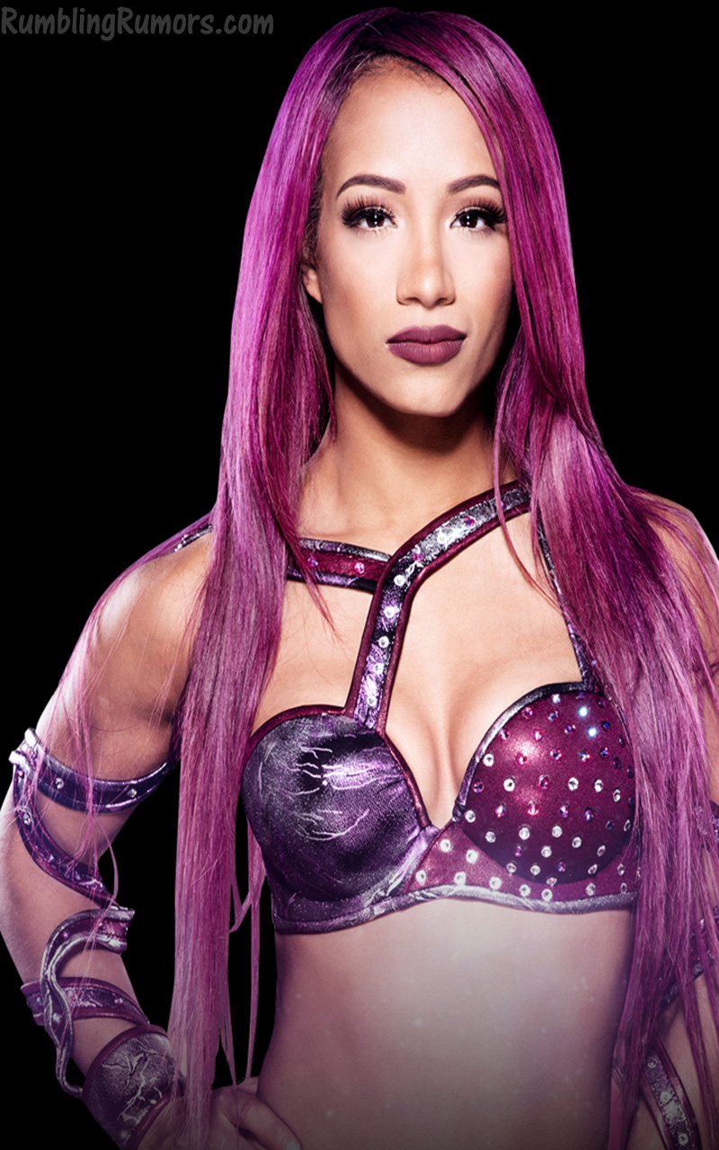 Sasha Banks - Sasha Banks Png 2016 - HD Wallpaper 