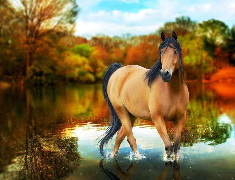 Horse Wallpaper For Computer - HD Wallpaper 