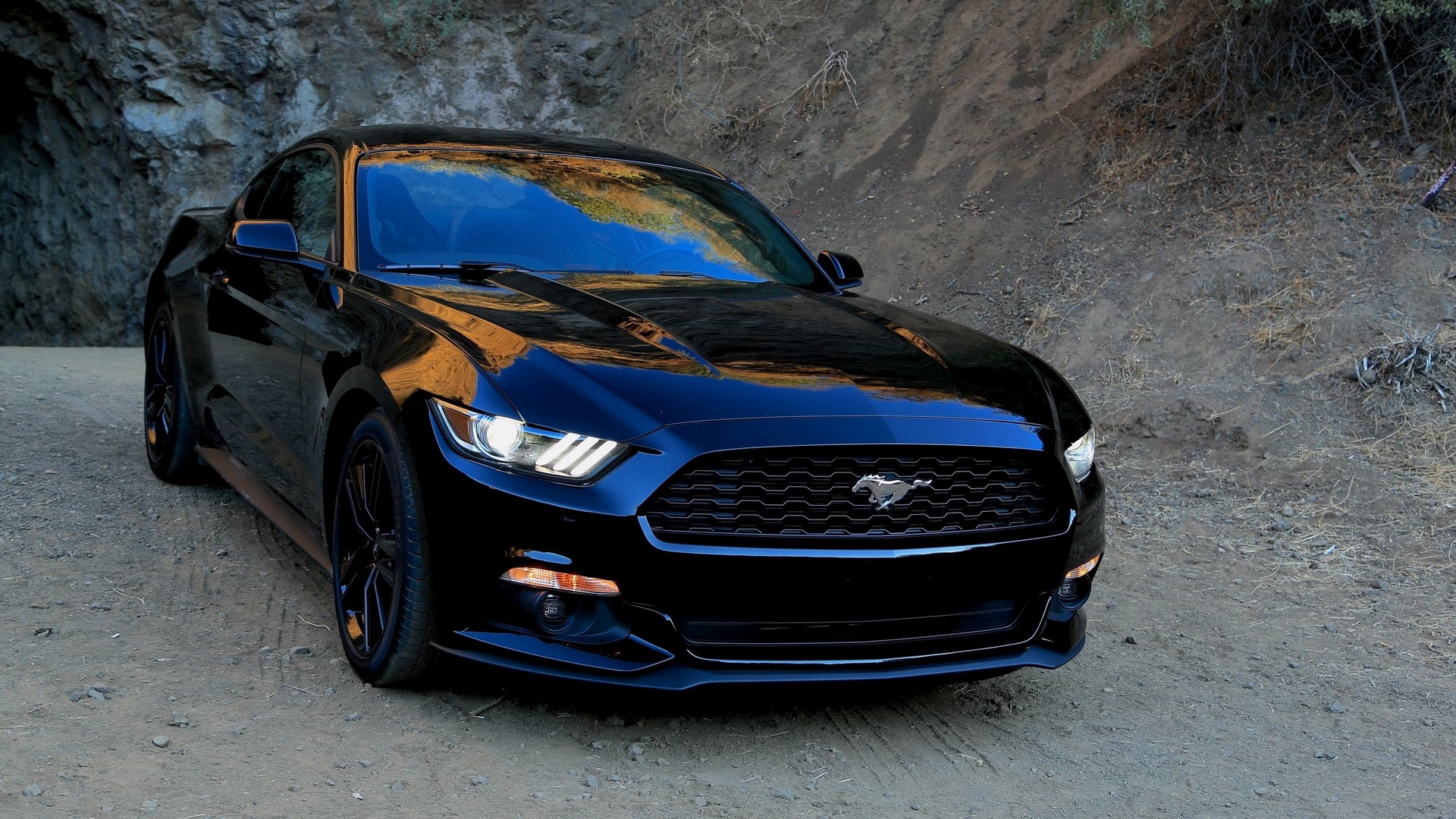 Wallpaper Ford, Mustang, Black, Front View, Sports - HD Wallpaper 