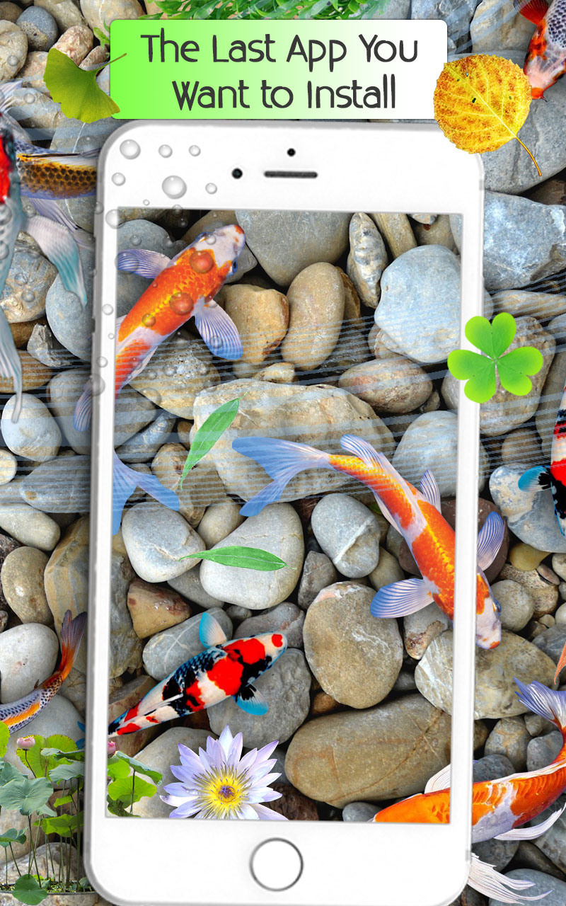 Pebble - HD Wallpaper 