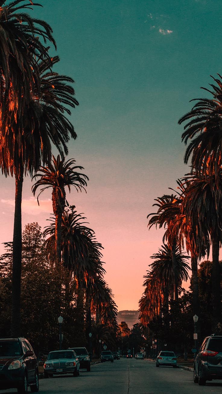 Los Angeles - HD Wallpaper 