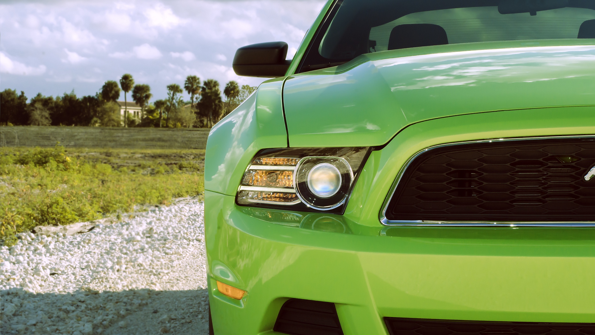 Wallpaper Ford Mustang, Headlight, Green, Front View, - Mustang Hd Cars Wallpapers 1080p - HD Wallpaper 