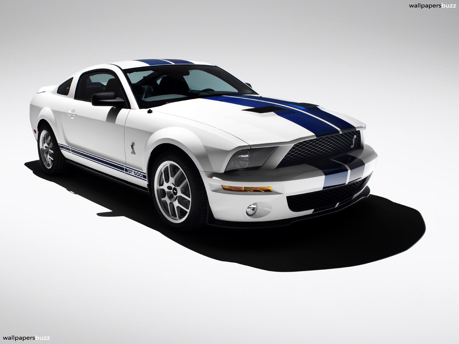 Ford Mustang Shelby Gt 500 - HD Wallpaper 