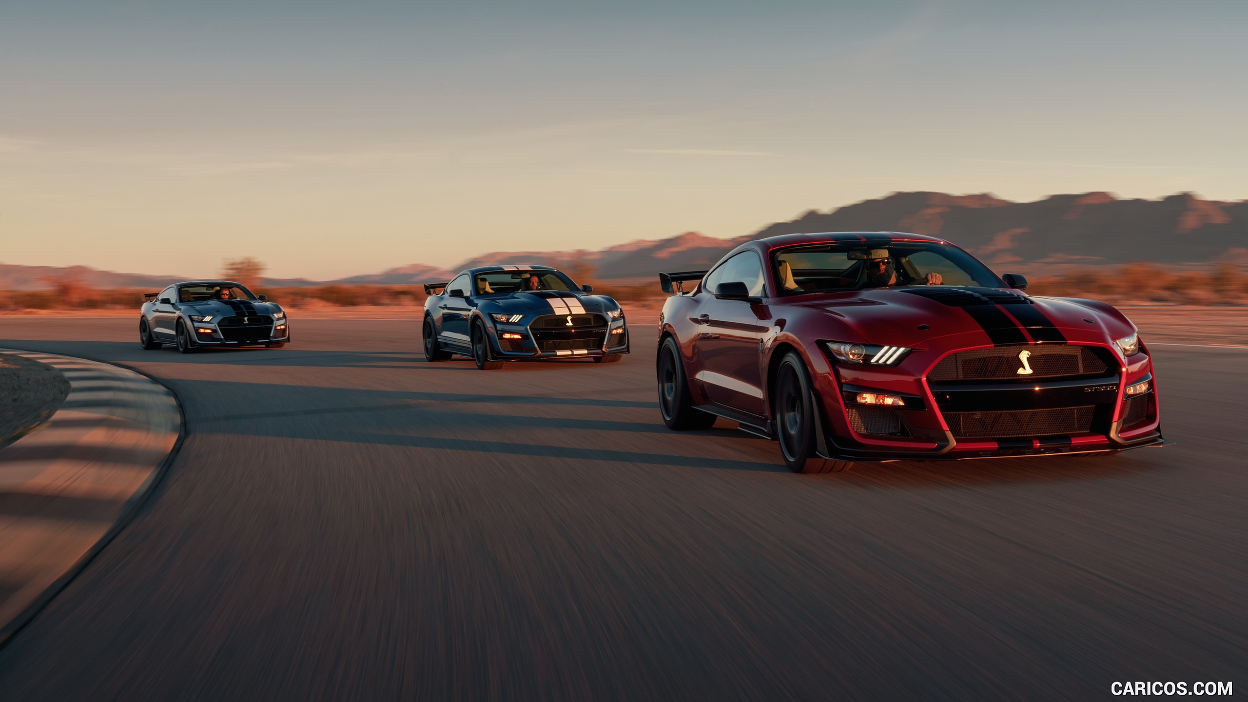 Ford Mustang 2020 Gt500 2560x1440 Wallpaper Teahub Io