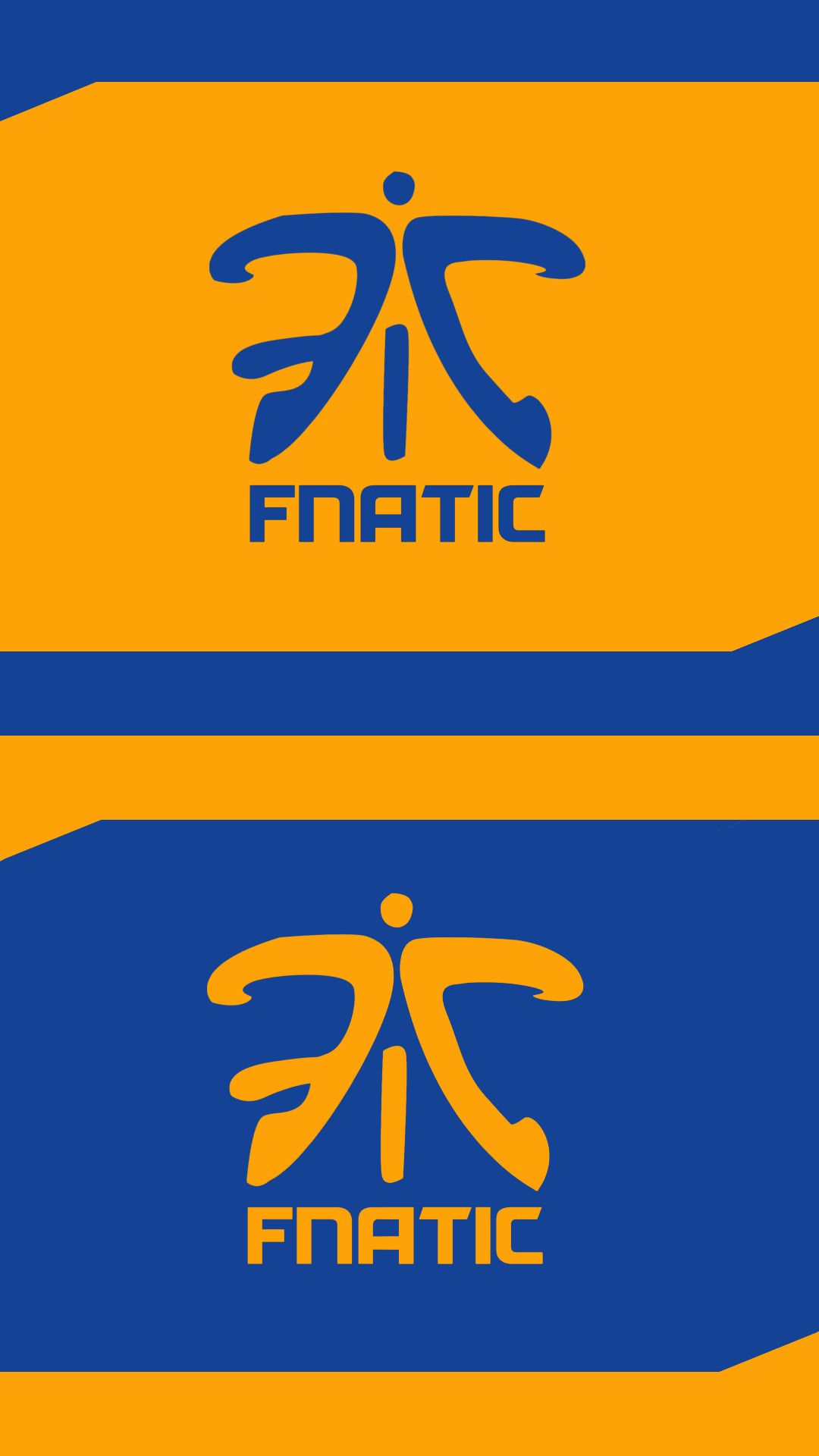 Fnatic Phone Wallpaper 1440p - HD Wallpaper 