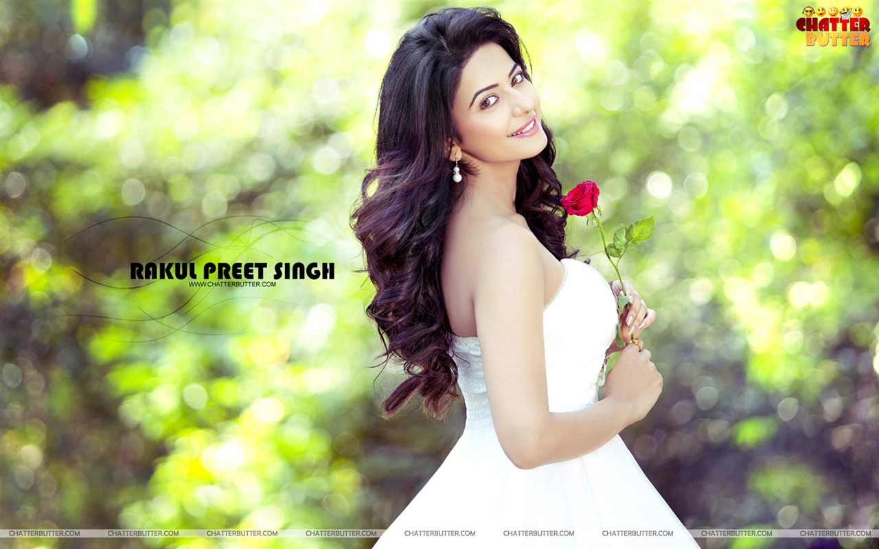 New Wallpaper Rakul Preet Singh - HD Wallpaper 