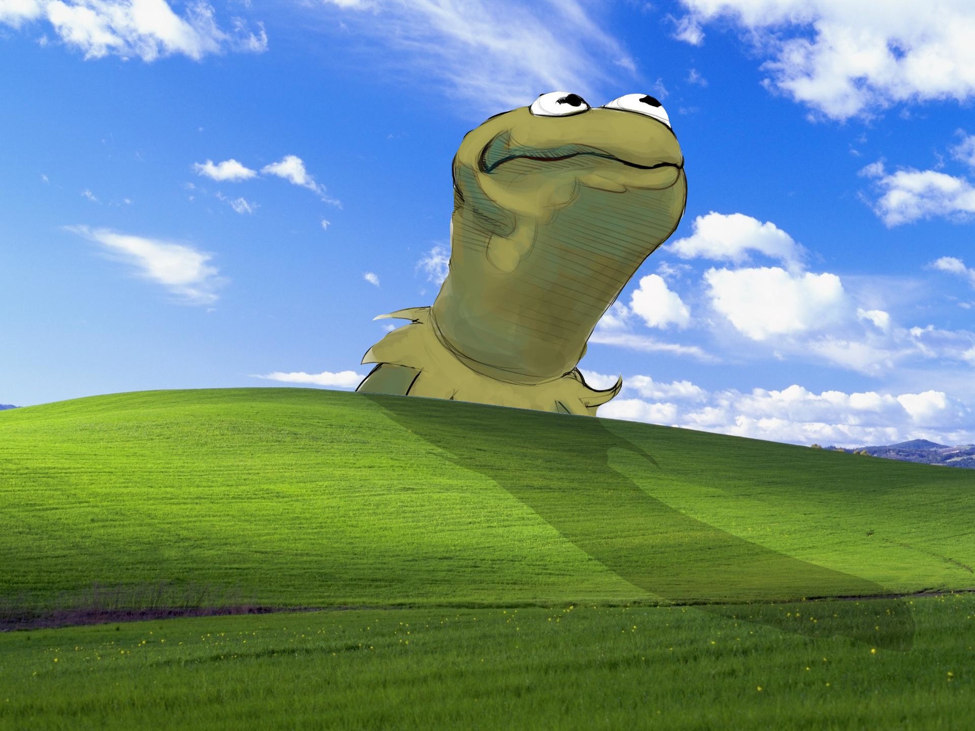 Windows Xp Background Meme 4 Data Src Gorgerous Meme Kermit The Frog Backgrounds 1920x1440 Wallpaper Teahub Io