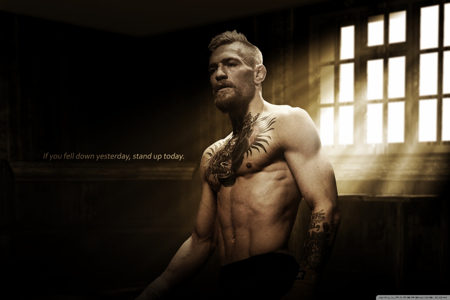 Conor Mc Gregor 4k - HD Wallpaper 