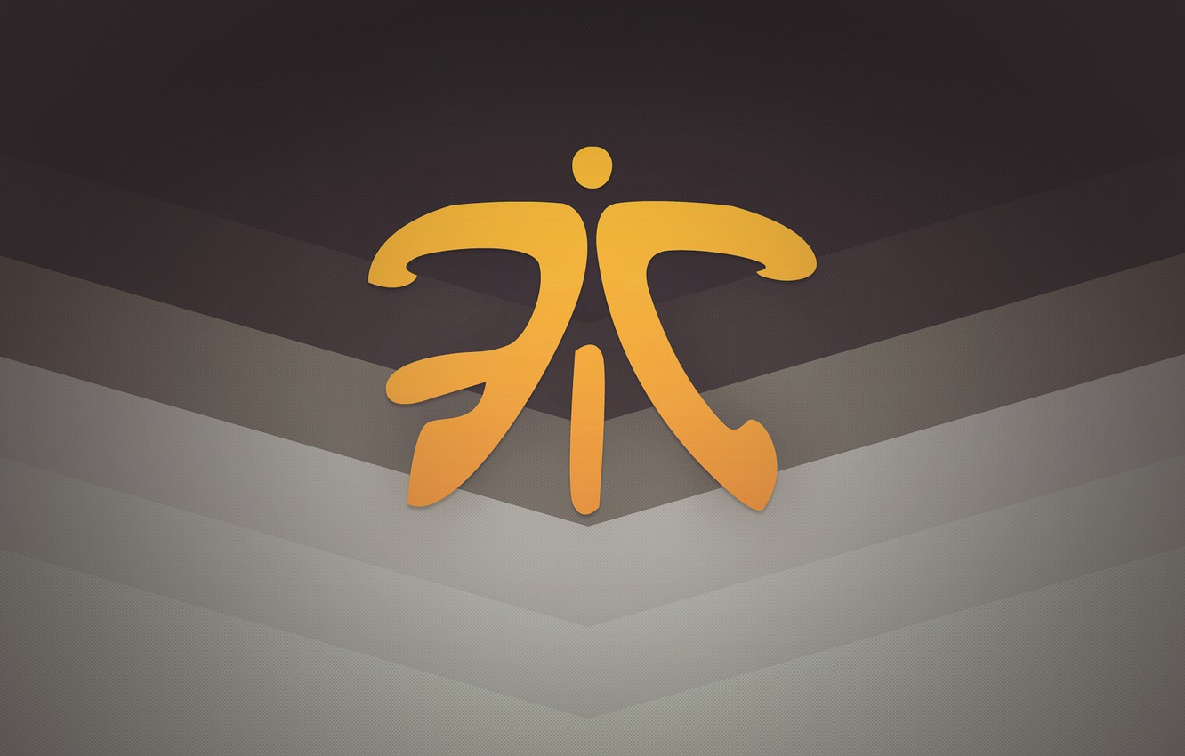Photo Wallpaper Logo, Hots, Csgo, Dota 2, Fnatic, Cs - Cs Go Fnatic Logo - HD Wallpaper 