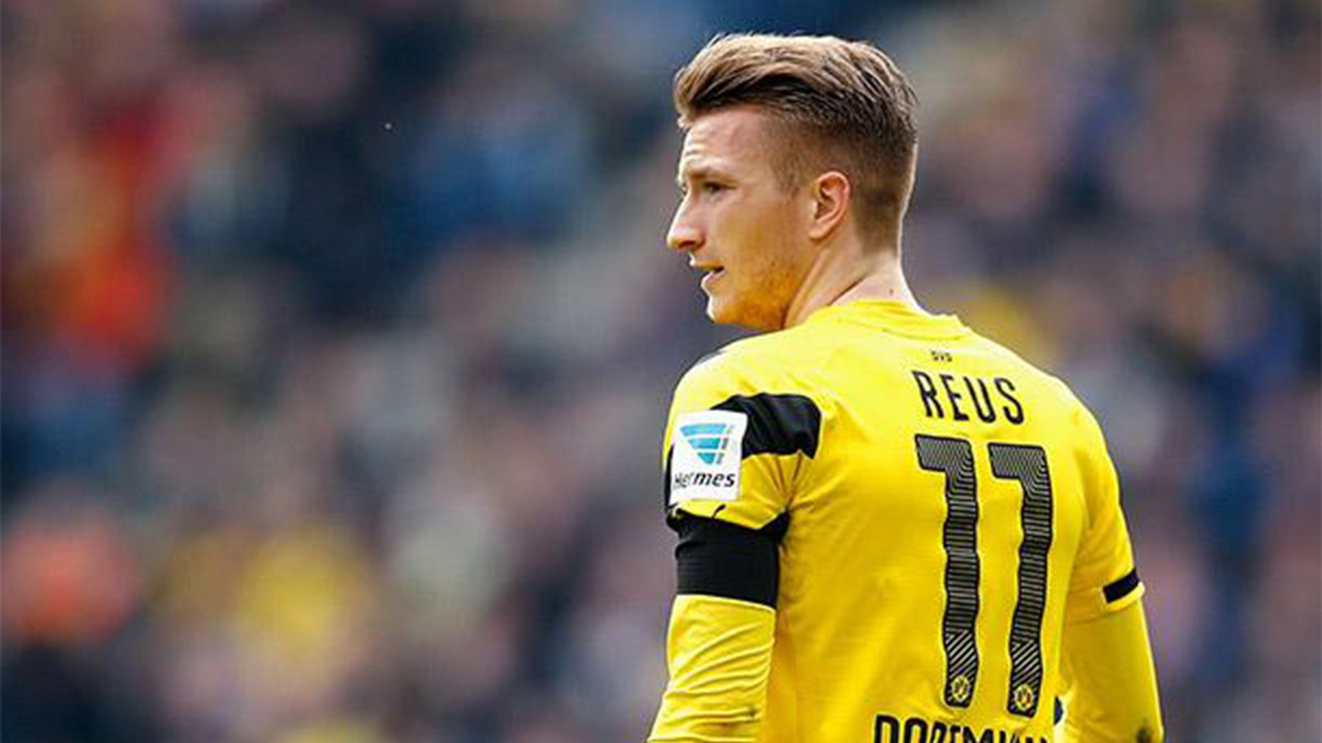 Marco Reus 2017 De Espalda - HD Wallpaper 