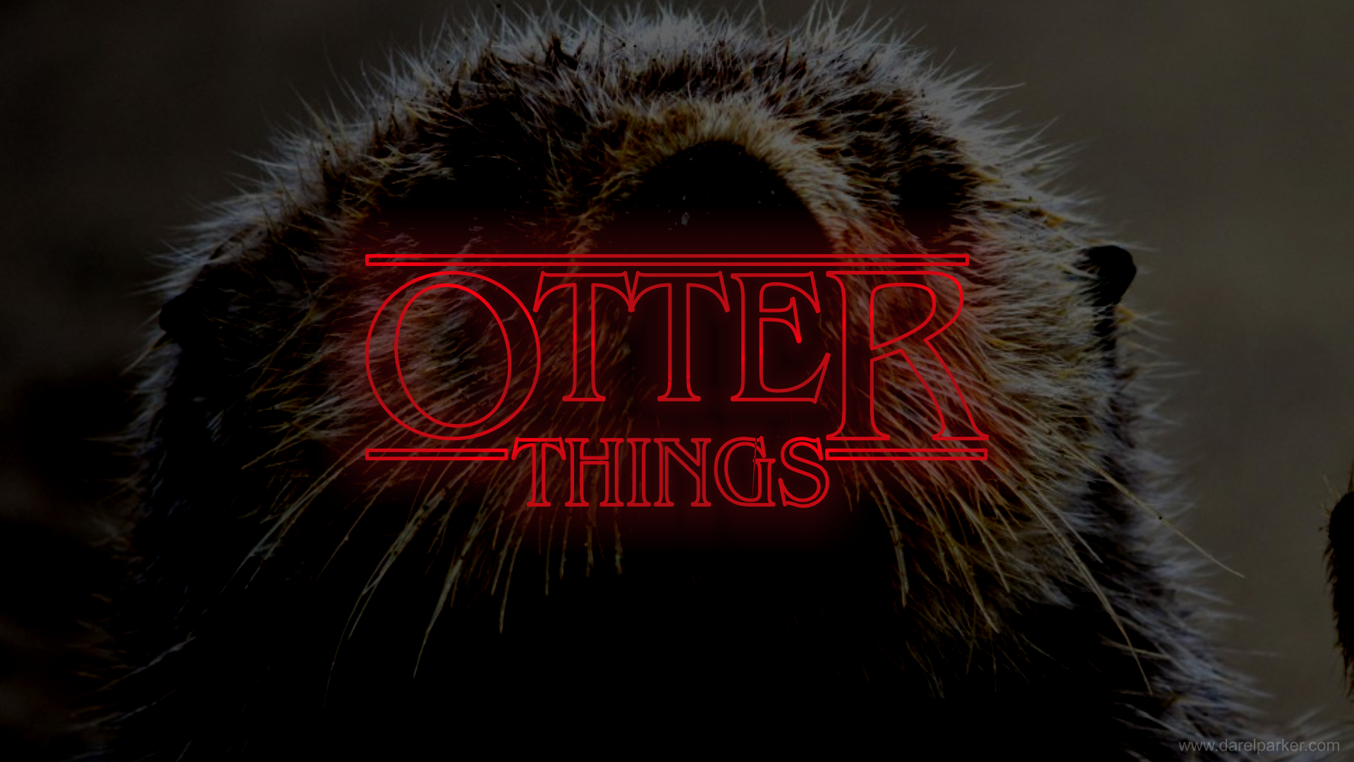 Stranger Things Otter - HD Wallpaper 