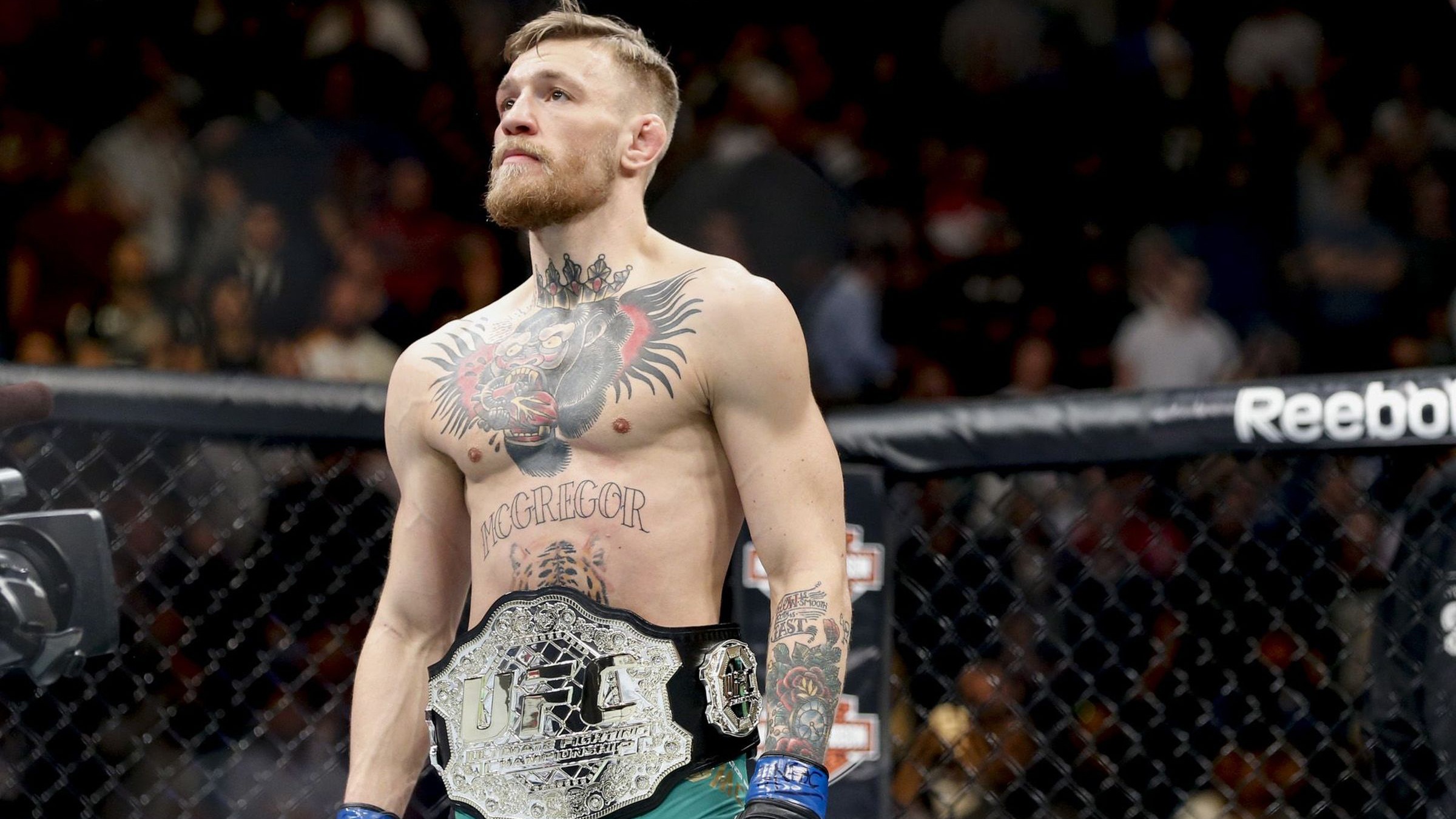 Conor Mcgregor Mma - HD Wallpaper 