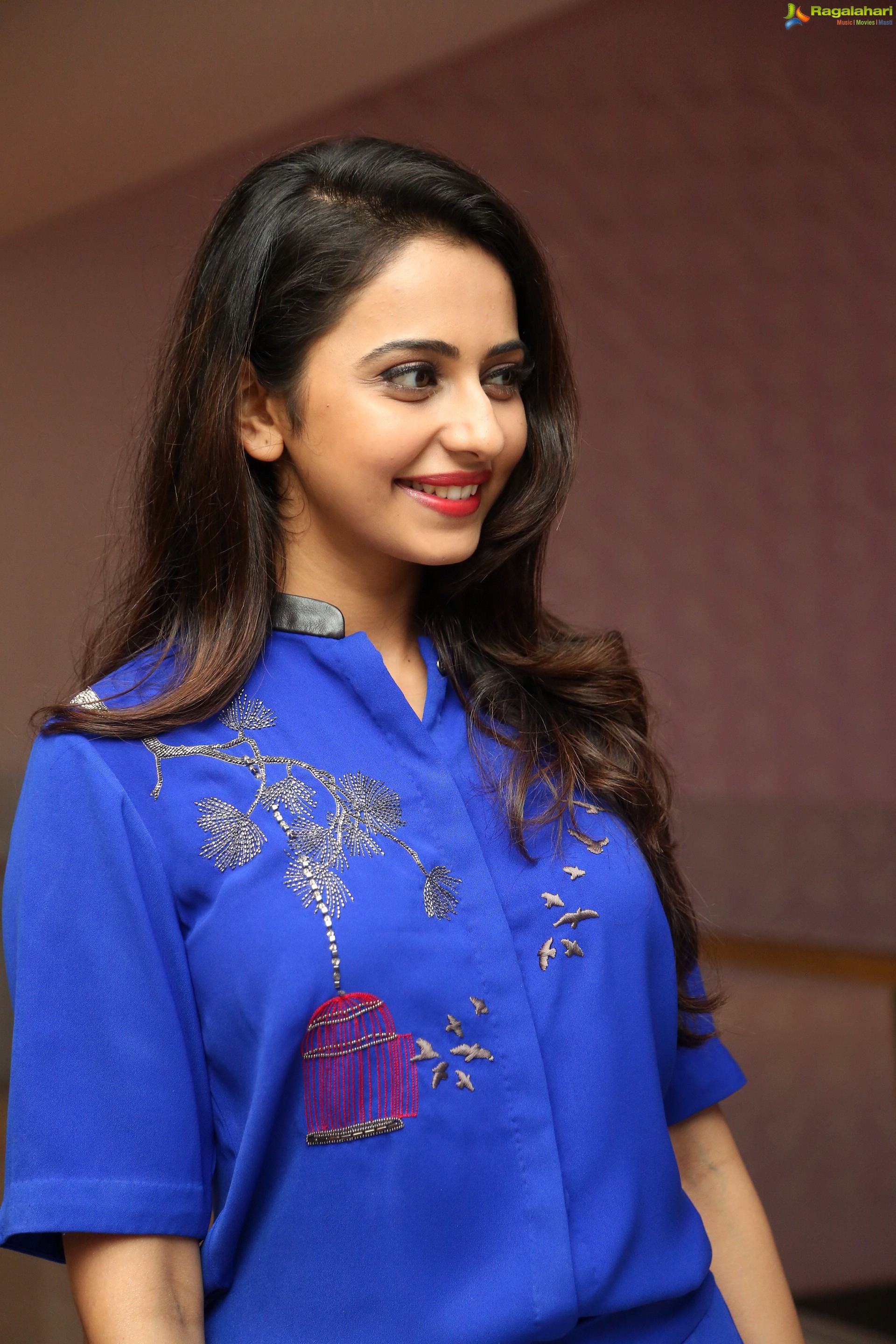 Rakul Preet Singh - HD Wallpaper 