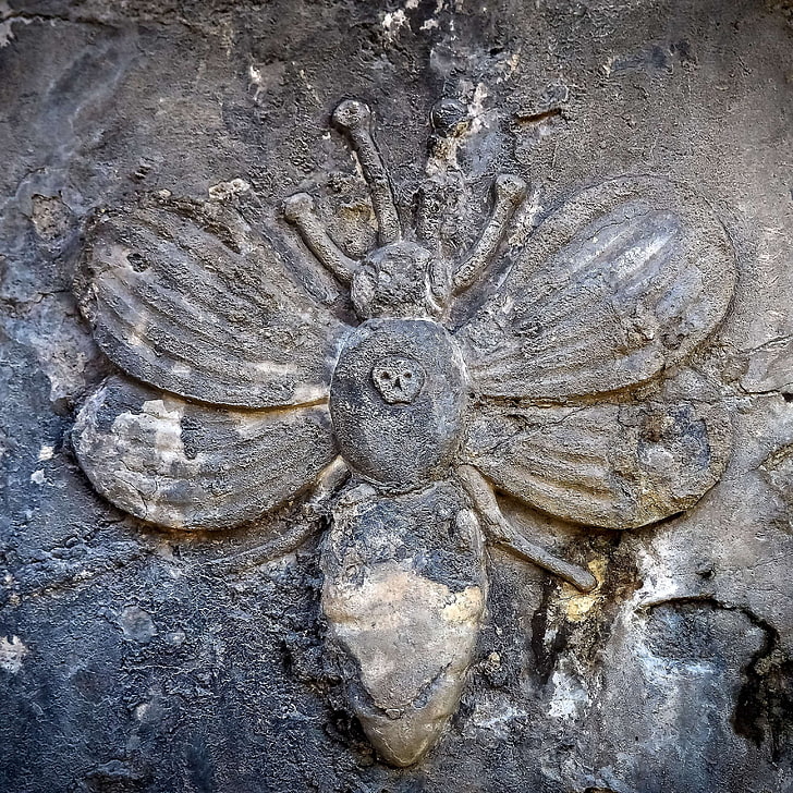 Beetle, Cemetery, Conspiracy, Conspiracy Theory, Illuminati, - Insect Gravestone - HD Wallpaper 